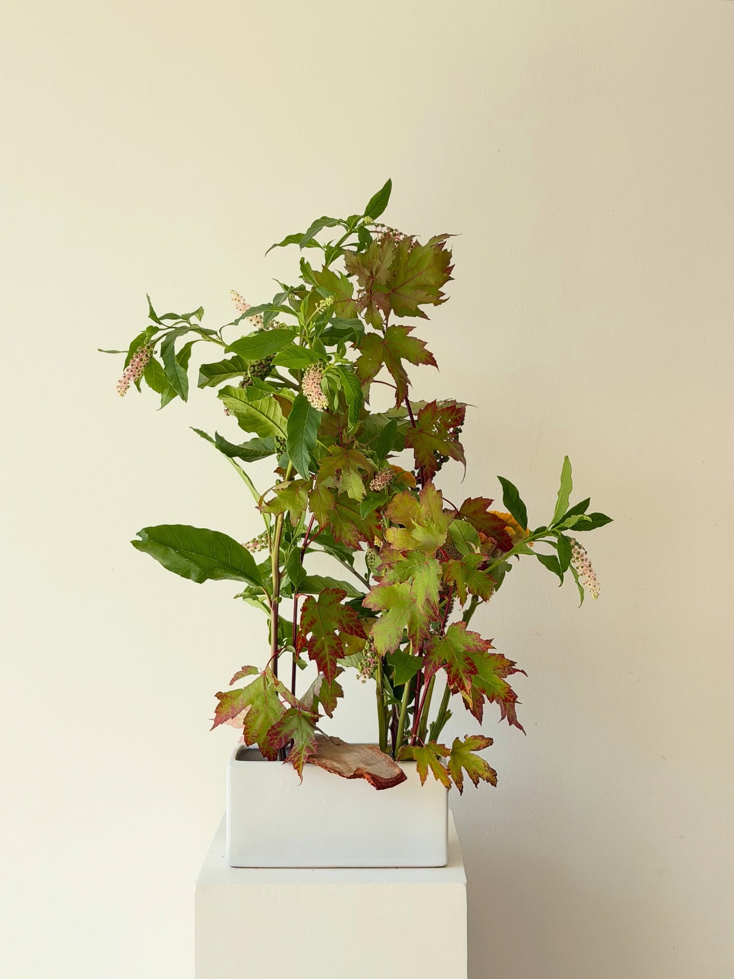 Layers of leaves overlap
at times holding ma(space)
at times growing dense
creating a quiet, shifting pattern.
