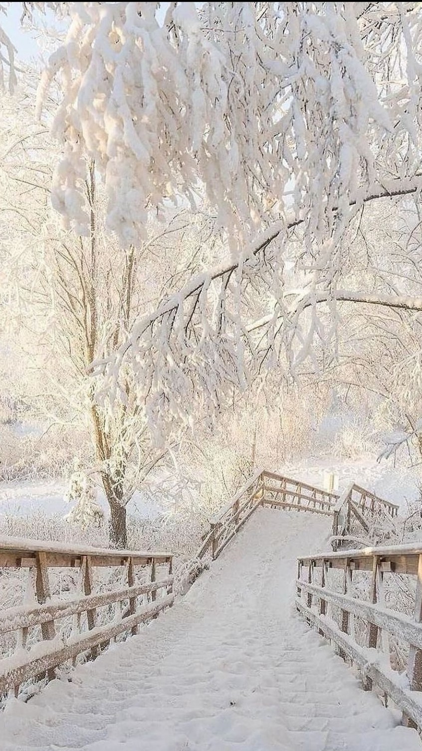 Hudterapeut Claudia Desales favoritt Fuktighetskrem spray
Kerstin Florian ikoniske aromatiske blomstervann forfrisker huden i løpet av dagen. Kjøp denne her👇
https://www.lillehammerspa.no/product-page/natural-rehydrating-neroli-water-100ml
Skin therapist Claudia Desale’s favorite Moisturizing Spray
Kerstin Florian’s iconic aromatic floral water refreshes skin throughout the day. Buy it here👇#lillehammerspa #wellness #kerstinofficiall @followers #followers