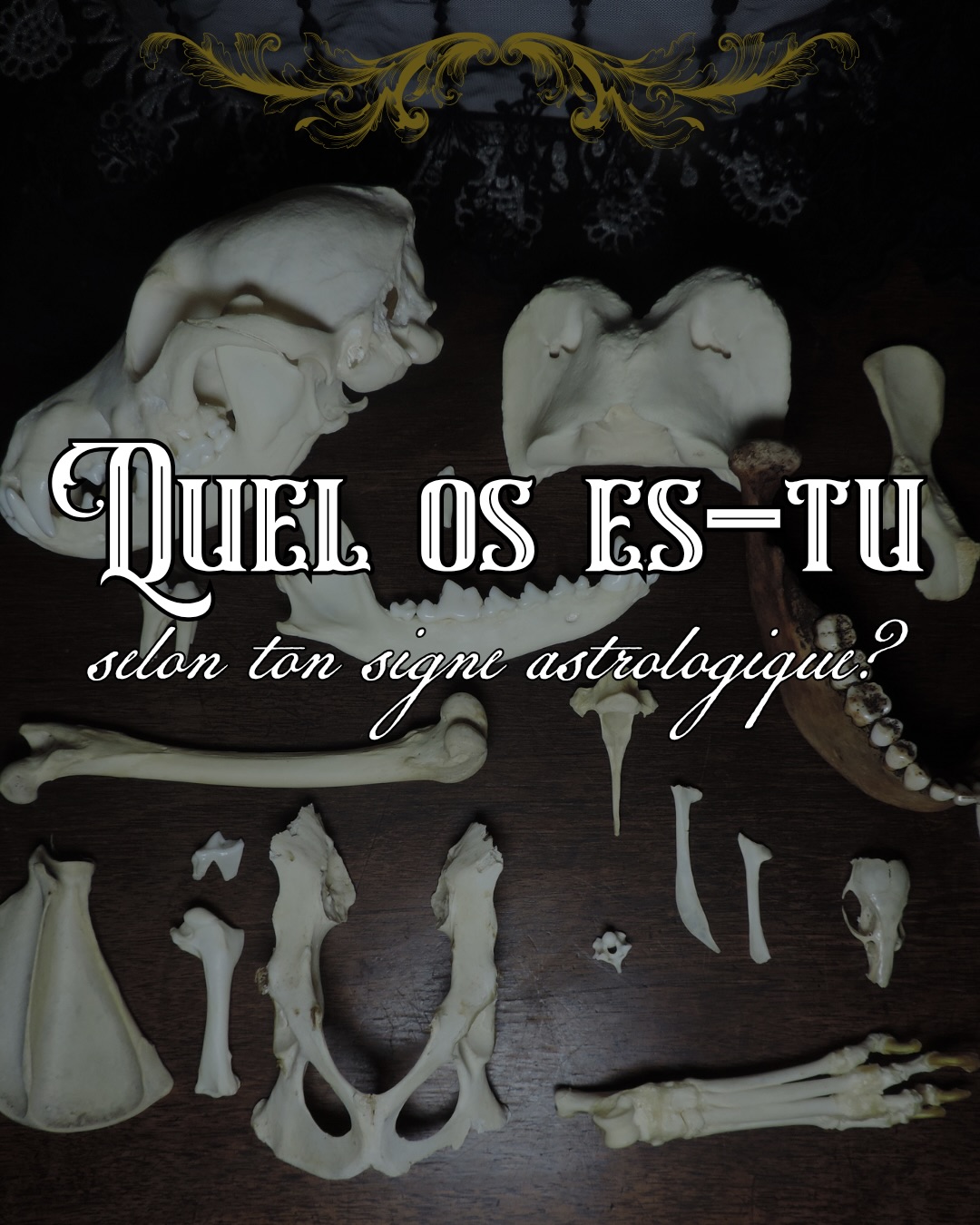 Est-ce que l’os attribué à ton signe te représente bien? Dis moi en commentaire quel est le tien ! 🦴
Moi, sans surprise, ça me correspond parfaitement, et je te laisse deviner en commentaire avec ces emoji: 🦷🌿🍕🍫🛍️