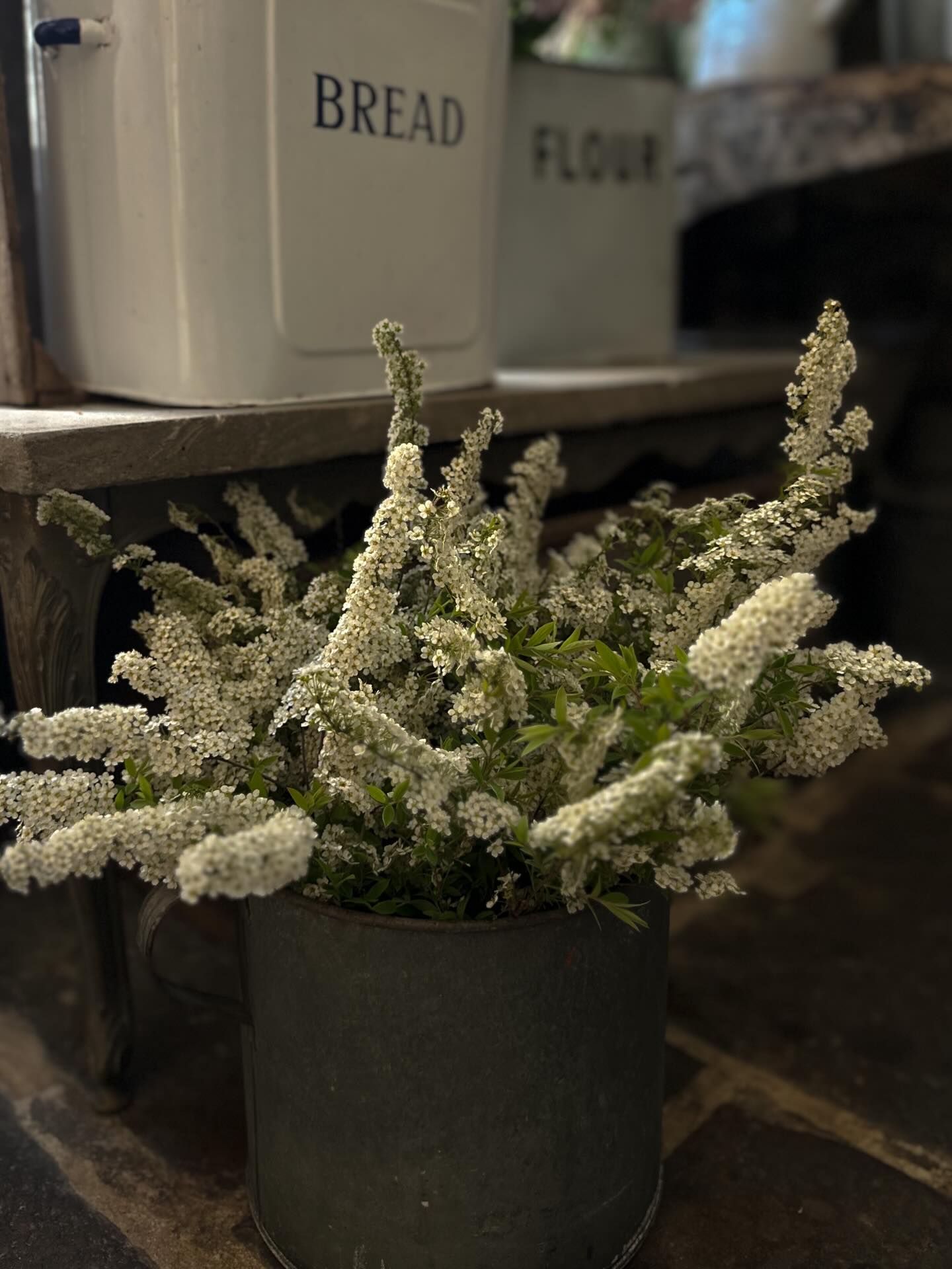 Would be rude to not have a bucket bursting with blossom!