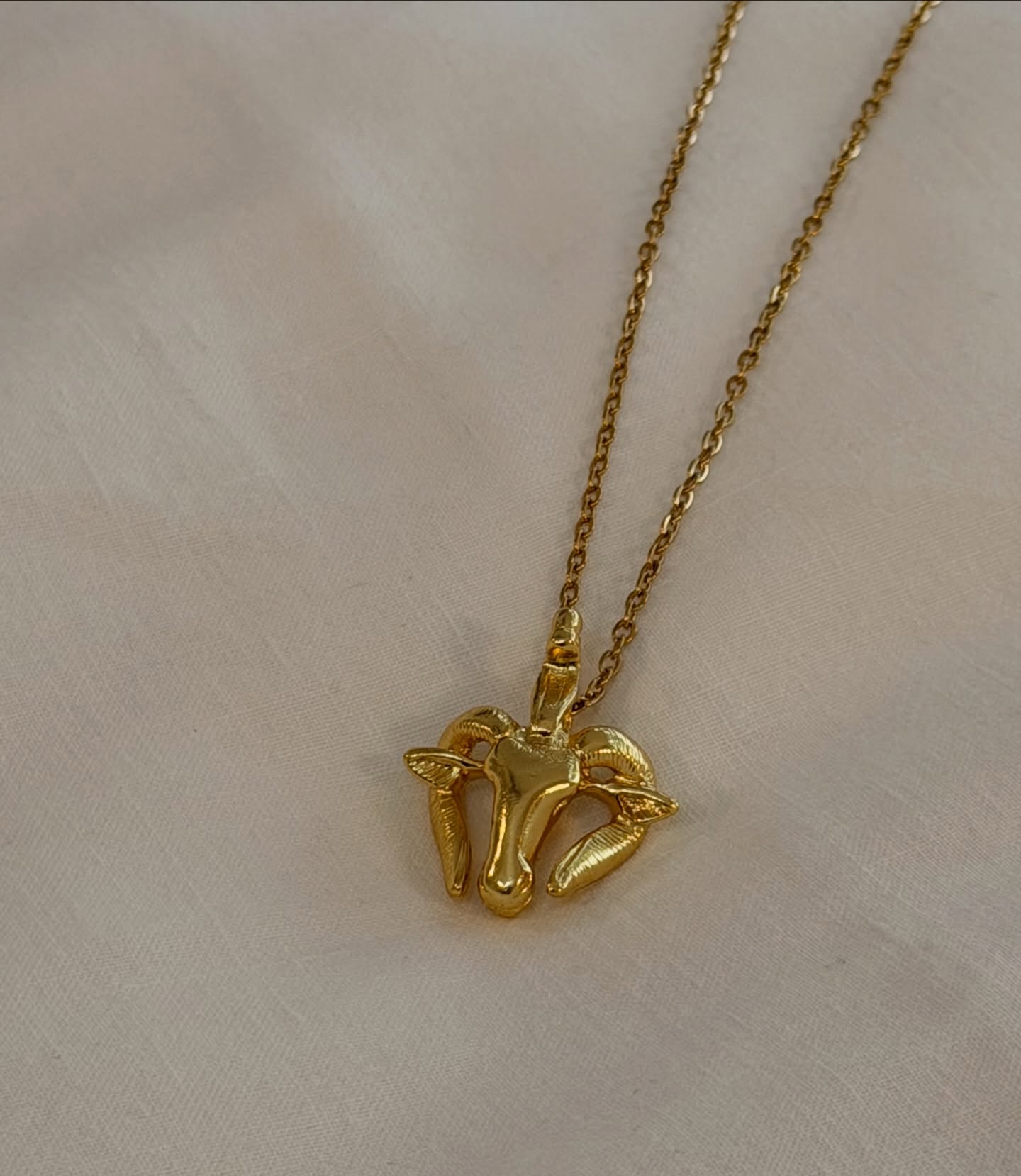 Some pieces are chosen for more than beauty. A horse for movement. A ram for courage. A talisman for protection. Guardian Forms brings together symbols that feel powerful, grounded, and yours to wear in your own way.
#ancientmodern #guardiantalismans #jewellery #chandracollections #byzantium