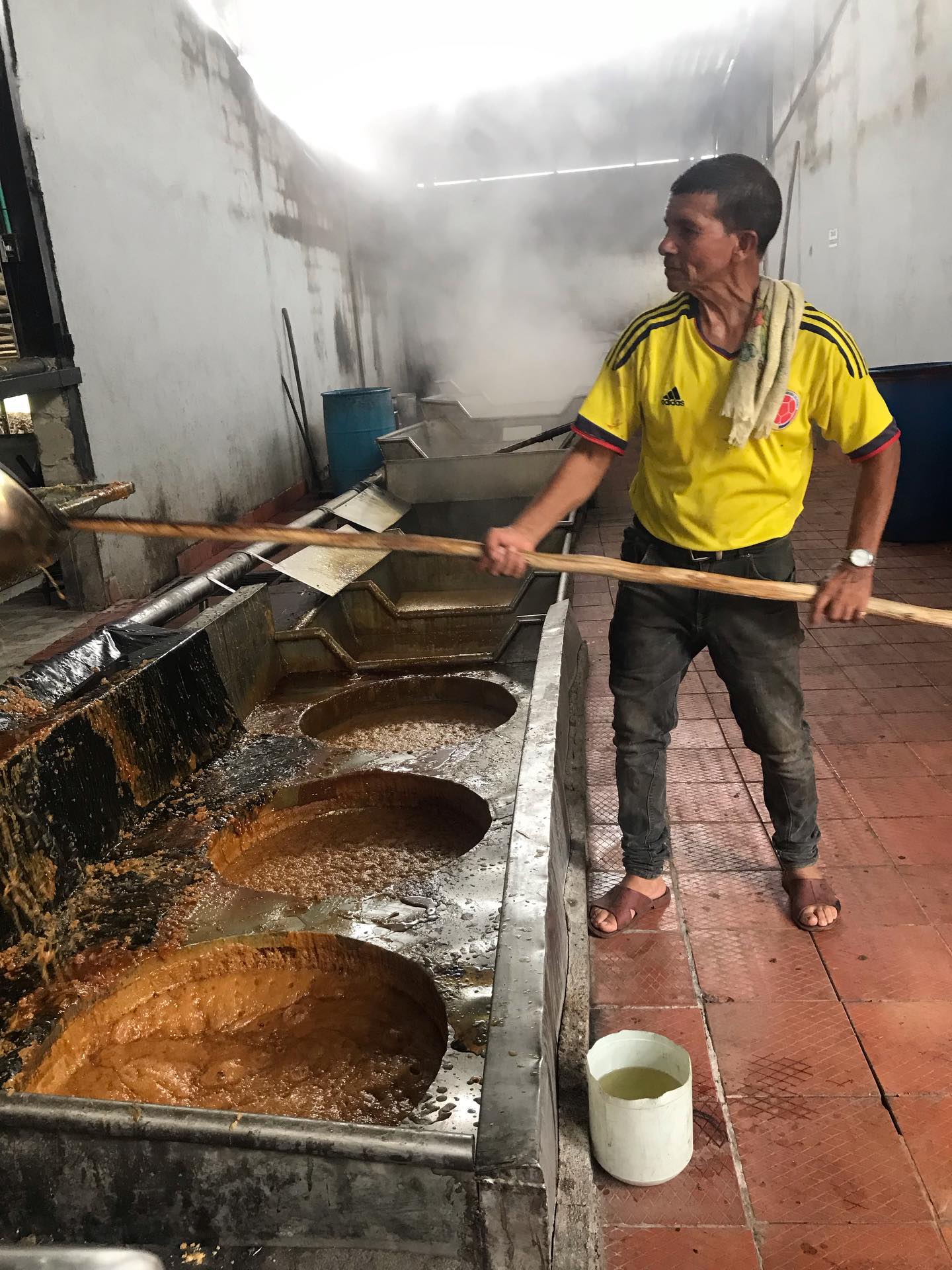 Visiting a traditional ‘trapiche’ in Sandona. This facility processes the equivalent of 1 hectare of sugar cane per month and converts it into delicious ‘Panela’