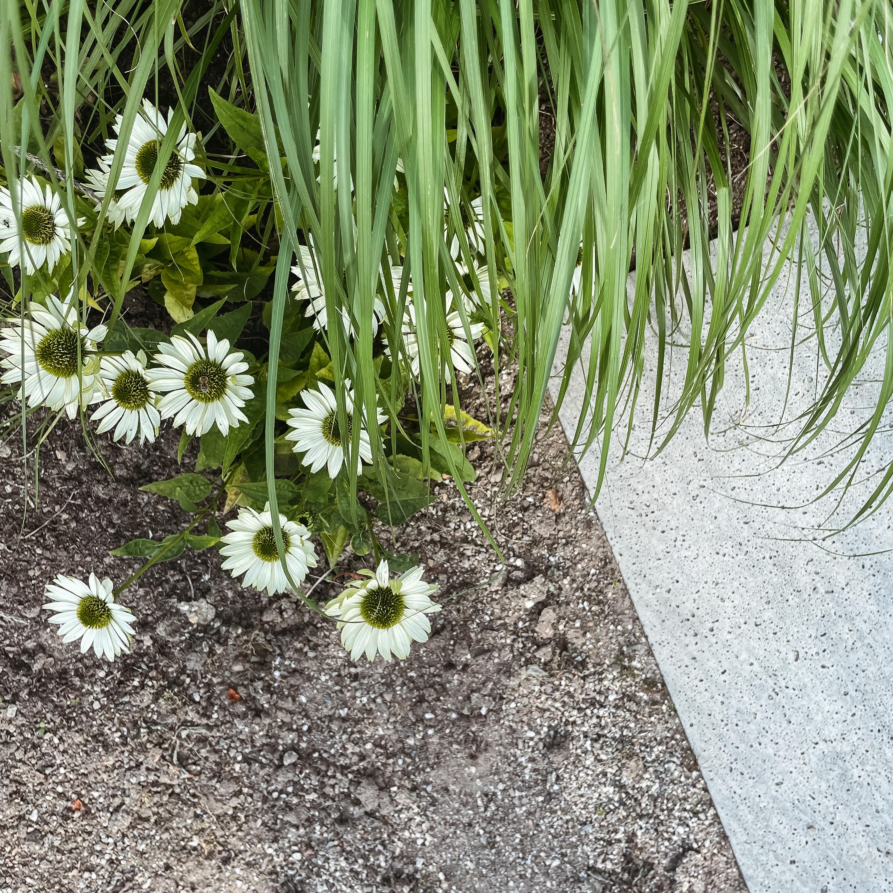 Perfectie kan in de simpelste dingen zitten. En vaak is er ook geen ingewikkeld ontwerp nodig om een wauw tuin te creëren!