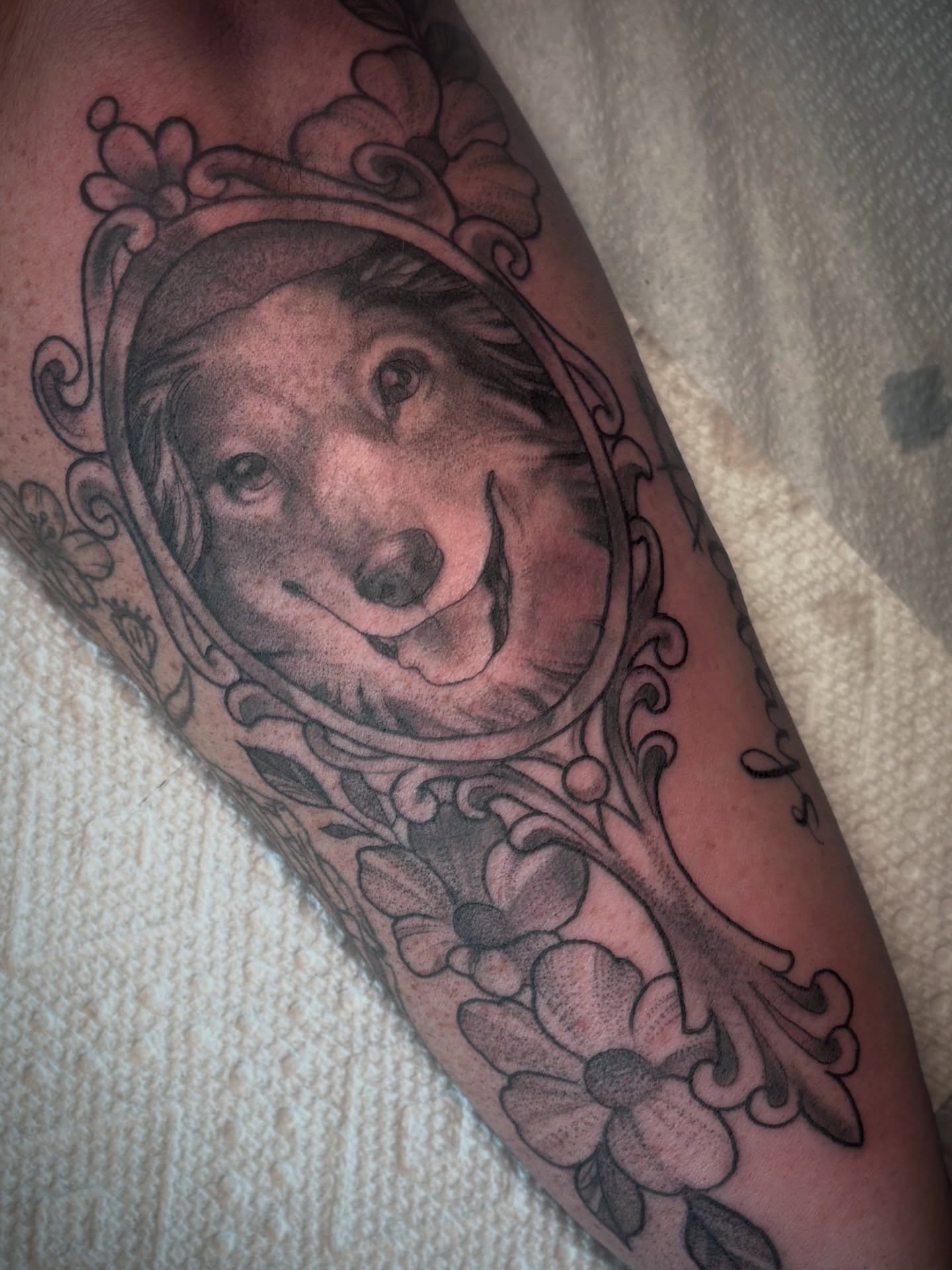 A lovely memory of Jake, a very good boy ♥️
#tattoo #tattooersofkentucky #petportrait #blackworktattoo #girlswhotattoo