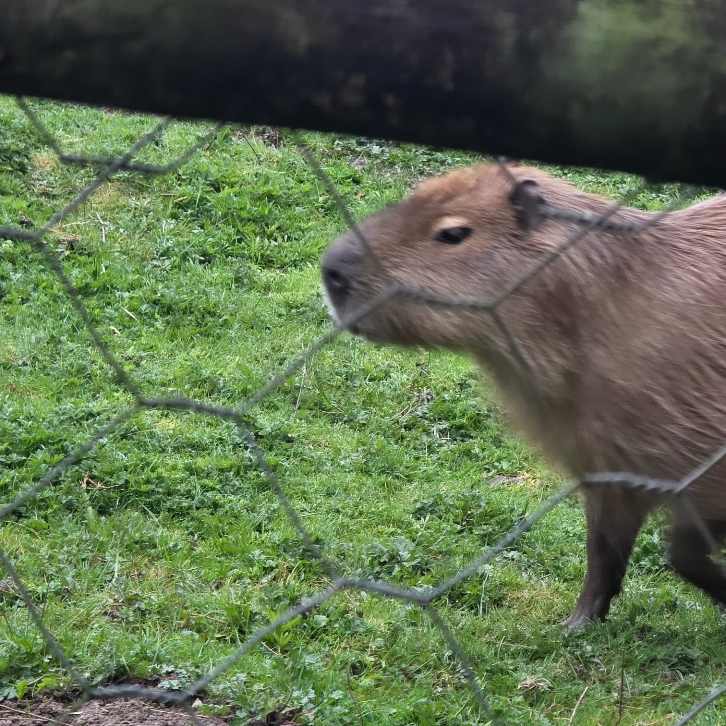 Part 2
Lately I’ve realised something
Self-care doesn’t always look like candles, baths, and silence, sometimes it looks like busy days, noisy places, and making memories with your kids.
But still finding a moment just for you is not always easy. 🩷
On the days I don’t even get moments like that is
exactly why I created my Me Time Box.
Because we all deserve time to pause, even if it’s just for a little while.
Message me ‘ME TIME’ if you need one 🩷
#kirstyoliviaselfcare #metimebox #mumlifeuk #selfcare #calmmoments