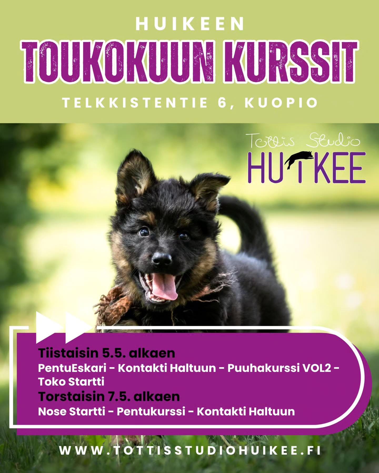 💛 HUIKEEN KEVÄÄN KURSSIT! 💛
Toukokuun kurssit HuiKeen hallilla Kuopion Kelloniemessä 🐾
ALKAVIA KURSSEJA
🟢 Pennuille Pentu Startista
✨️ PentuEskari
✨️ Pentukurssi
🟢 Arkeen aikuisille koirille
✨️ Kontakti Haltuun
✨️ Kontakti Haltuun 2
🟢 HarrastusPolku
✨️ Nose Startti
✨️ TOKO Startti
✨️ Puuhakurssi vol2
🟢 POP UP -treenit
✨️ Yksittäisiä irtopaikkoja ryhmiin
✨️ Eri aiheista POP UP-tunteja
ILMOITTAUDU MUKAAN KURSSEILLE JA TREENEIHIN
▫️Kotisivujemme kautta
Lämpimästi tervetuloa mukaan! 💛✨️
#tottisstudiohuikee #koirankoulutus #koirahalliKuopio #koirakoulukuopio #koirakoulu