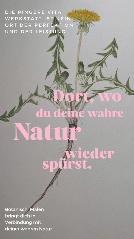 Setze dort an, wo es still wird in dir.
Lausche.
Deinem Wesen.
Deiner Seele.
Spüre wieder, wer du bist.
Botanisch Malen nach Alexander von Humboldt gibt dir den Platz dafür.
Die Werkstatt öffnet zum monatlichen Malen am Di 21.4. um 15:30 Uhr ihre Tore im Dorfhaus in 3040 Markersdorf.
Anmeldung: Anita.kurzbauer@gmail.com
Kosten: Freie Spende