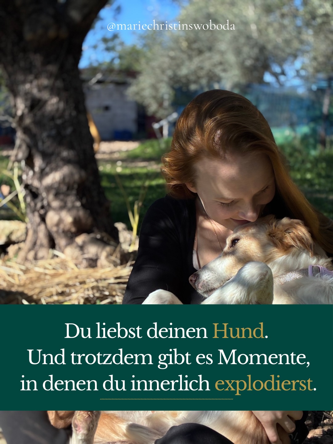 Viele Frauen, die zu mir kommen, lieben ihren Hund zutiefst.
Und gleichzeitig gibt es Situationen, die sie an ihre Grenze bringen.
Nicht, weil sie ihren Hund nicht verstehen wollen.
Nicht, weil sie zu wenig trainieren.
Sondern weil Beziehung manchmal mehr berührt, als wir erwarten.
Und weil Hunde Dinge sichtbar machen können, die im Alltag sonst gut funktionieren.
Du bist damit nicht allein.🫂
Folg mir für eine Community rund ums wilde Leben mit Hund 🐶
#hundmenschbeziehung #lebenmithund #traumasensiblescoaching #beziehungstatthundetraining nervensystem
Hundebeziehung
Überforderung mit Hund
Hundebegegnungen Stress
Beziehung statt Training
Nervensystem Hund Mensch