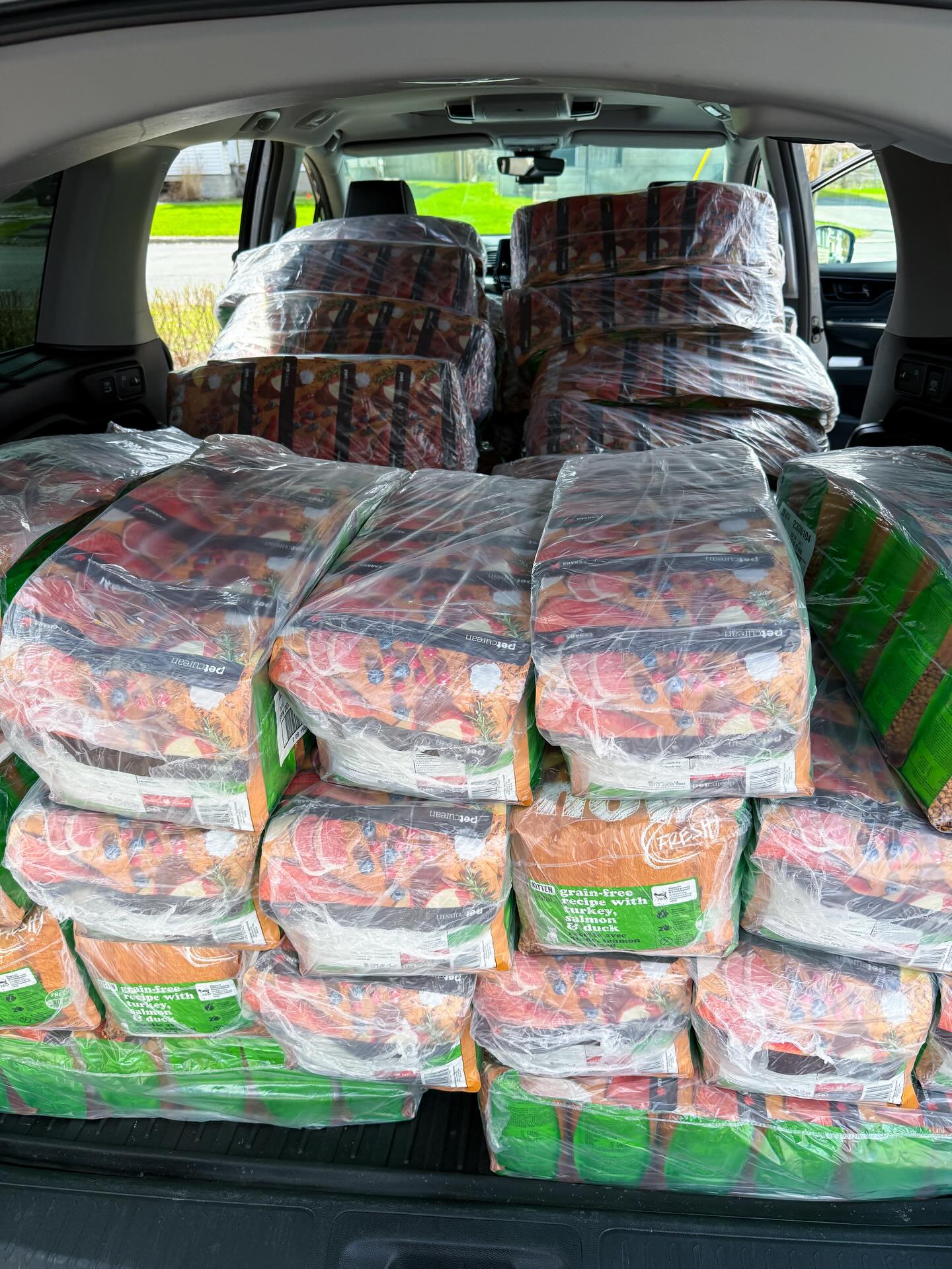 Delivery for the ferals! 😻👏🏼
