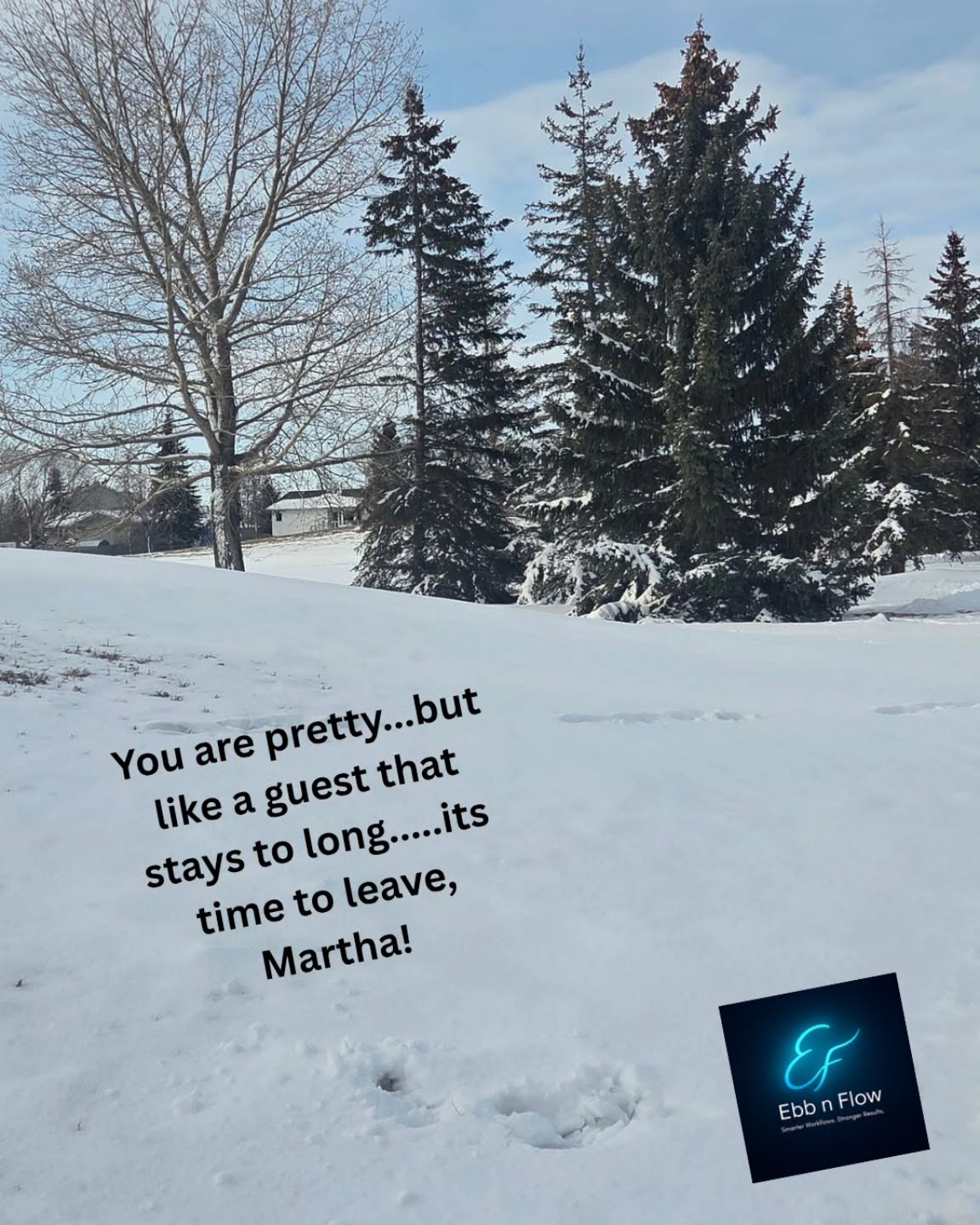 Its time to go home Winter!! ❄️☃️ Its Spring! 🌸👡🌼