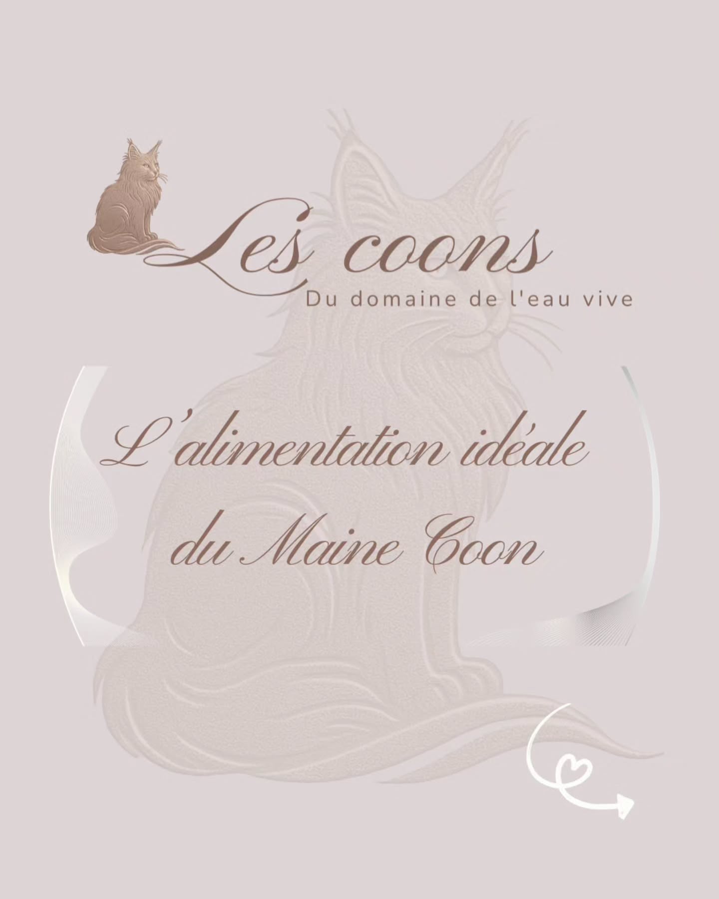Le Maine Coon est un grand chat qui grandit lentement et a donc des besoins nutritionnels spécifiques 🐈
Une alimentation riche en protéines animales et adaptée aux grandes races permet de soutenir sa croissance, sa musculature, ses articulations et la beauté de son pelage.
Et toi tu lui donnes quoi à ton Maine Coon ?
▶️ Si tu veux des conseils écris-moi 😊
Avec passion 🤍
Carine Zimmermann
Éleveuse de Maine Coons
Affiliée au Cat Club Romand
Praticienne en technologies de bien-être animal (Électromagnétisme)
Domaine de l’eau vive
1724 Bonnefontaine
+41 79 281 93 88
www.lescoons.ch
#mainecoons #alimentationchats #catlife🐾 #chatheureux #chatderace