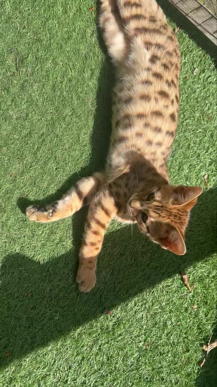 Our little trouble make 😂 Mayhem ❤️