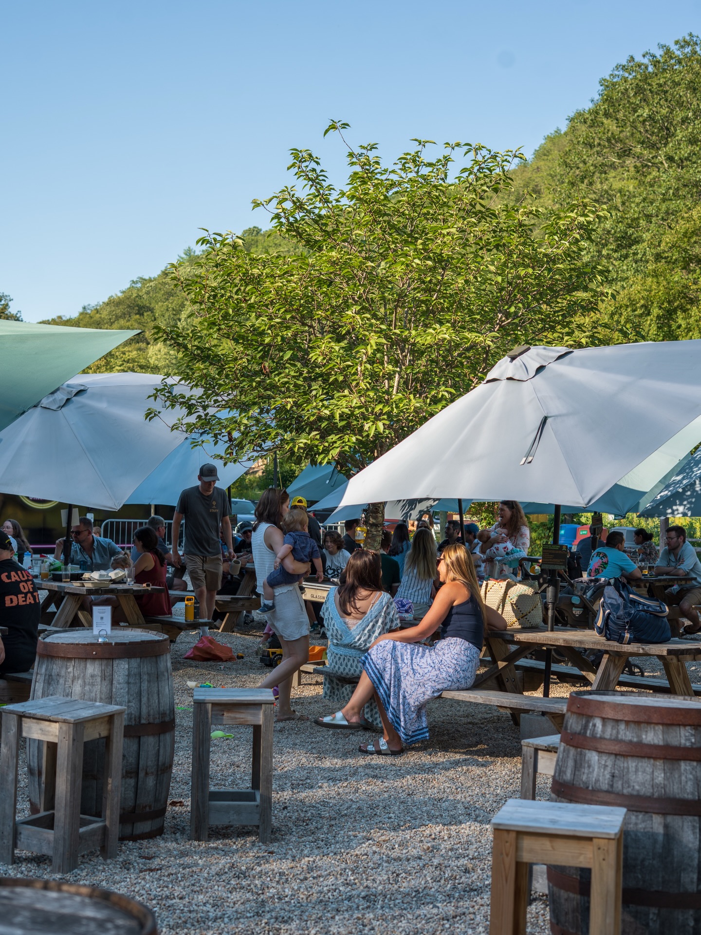 A weekend filled with sunshine, music & fresh beer awaits!
Come try our food truck 𝗧𝘂𝗰𝗸 𝗜𝗻 𝗮𝘁 𝗡𝗼𝗱 𝗛𝗶𝗹𝗹 - we’ll be serving all weekend & every Wed-Sun going forward!
Tonight: @toneandtwang spins vinyl on the Biergarten Stage 6:30-9pm
Saturday: @hitchandthegiddyup live bluegrass on the Biergarten Stage 3-5:30pm
Sunday: Legendary folk troubadour Eric Andersen Live in the Backspace 6:30pm *tix at link in bio->Live Music*
@ericandersenofficial
𝗗𝗿𝗮𝗳𝘁 𝗟𝗶𝘀𝘁 𝟰-𝟭𝟳-𝟮𝟲
Beam - German-style Pils 5%
Geobunny - NE IPA 6.5%
Meadowsong - Foeder-aged Farmhouse Ale 6%
Pride of Ridgefield - English Golden Ale 4.3%
Cozy Snug - Nitro Irish Stout 4.1%
Giddyup - Hop-forward Pilsner 5%
I’m OK, You’re OK - NE Pale Ale 4.5%
Sound Chaser - NE Pale Ale 5.5%
Rabbit’s Foot - West Coast Pale Ale 5.6%
Proper Chap - “New English” Pale Ale 5.9%
Glass Slipper - NE IPA 6.2%
Moonwalkin’ Cowboy - NE DIPA 8%
Le Bûcheron - Biére Ambrée 5.4%
Wanderstar - Dunkel Lager 5%