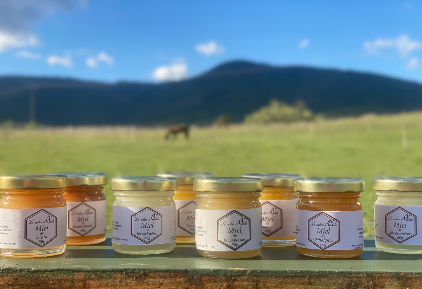 🐝 Craquez pour la douceur en version mini !
Mes petits pots de 50g sont parfaits pour une dégustation, sublimer un plateau de fromages ou offrir un joli souvenir lors de vos événements : mariages, baptêmes, anniversaires… 🎁💛
Un format plein de charme qui fait toujours son effet, à table comme dans un coffret gourmand 😋
Et bien sûr, c’est mon miel, récolté avec soin et passion 🍯
À retrouver à l’unité ou en assortiment sur ma boutique en ligne 📦
#lerucherdophelie #mielartisanal #cadeaugourmand #mignonnettes #productionlocale