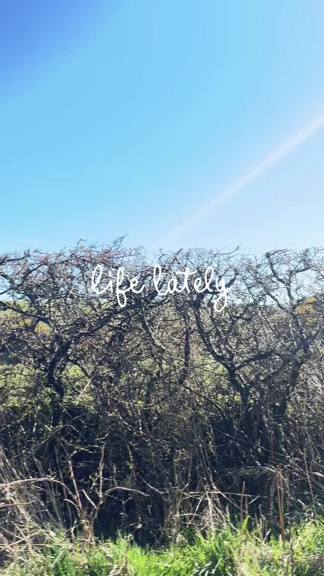 M A K E memories - here #gallowayview 🌱#dumfriesandgallowaylife #RuralRetreat #escapeandrelax