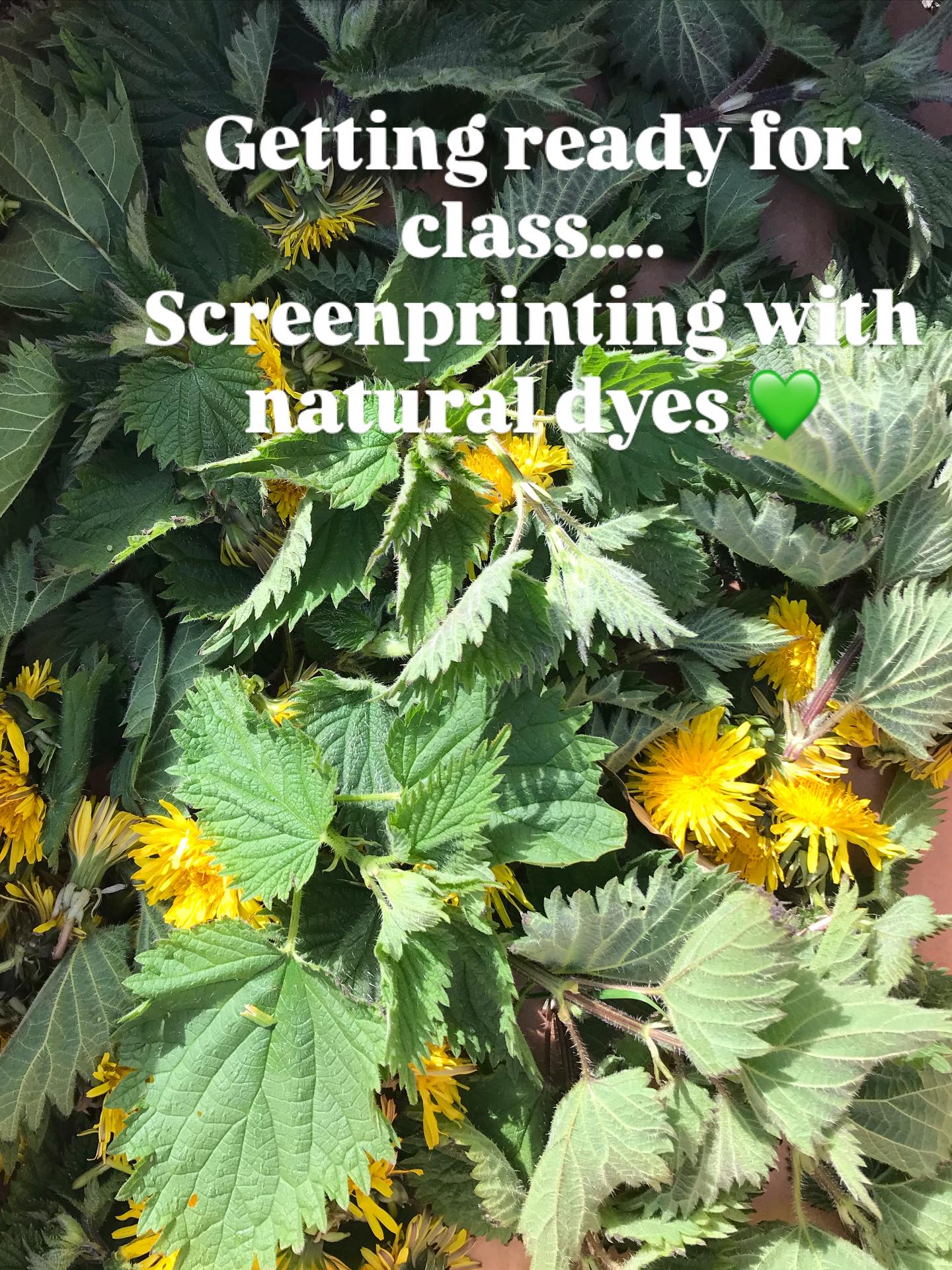 We’re kicking off our spring evening classes with a 4 week course learning how to make screenprinting inks from natural dyes. Cath has just been out gathering in sheepcote valley East Brighton. ✨✨
Are you interested in learning how to make natural dyes and inks? Sign up to our newsletter to keep in touch with our next set of courses and workshops 🌱🌱🌱
#sustainablestudio #naturaldyescreenprinting #coloursfromnature #plantmagic #slowpractices