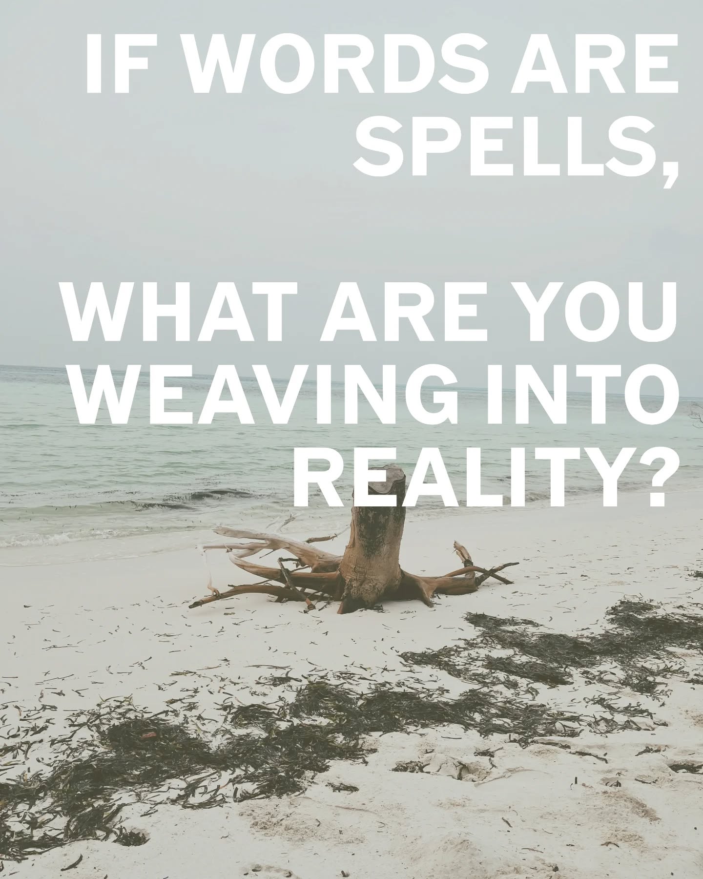 A question I've been asking myself lately. Thought I'd offer it to you too.
Maybe we can share reflections...
Lots of love,
Maitreyi 💜🍀✨