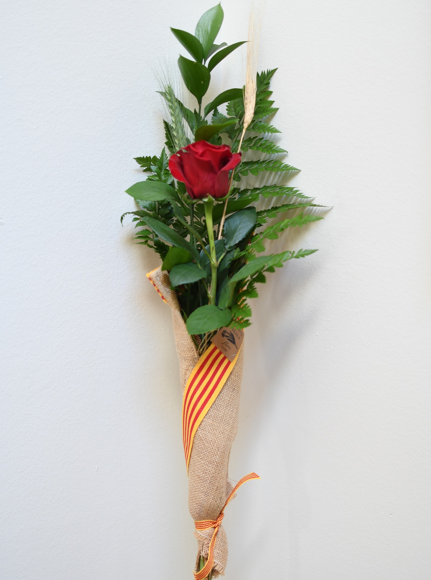 ROSA RÚSTICA
La rosa rústica és el nostre model més representatiu: natural, autèntic i amb l’estil inconfusible de la casa. Un clàssic que enamora any rere any.
Composició del producte:
• Rosa vermella d’alta qualitat (Freedom / Red Naomi / Explorer – 80 cm segons disponibilitat)
• Verds de ruscus i leather
• Espiga natural verda
• Espiga seca rosada
• Embolicat amb arpillera natural
• Cinta de la senyera catalana
Molt estimada pels nostres clients.
Ja disponible a la web.
