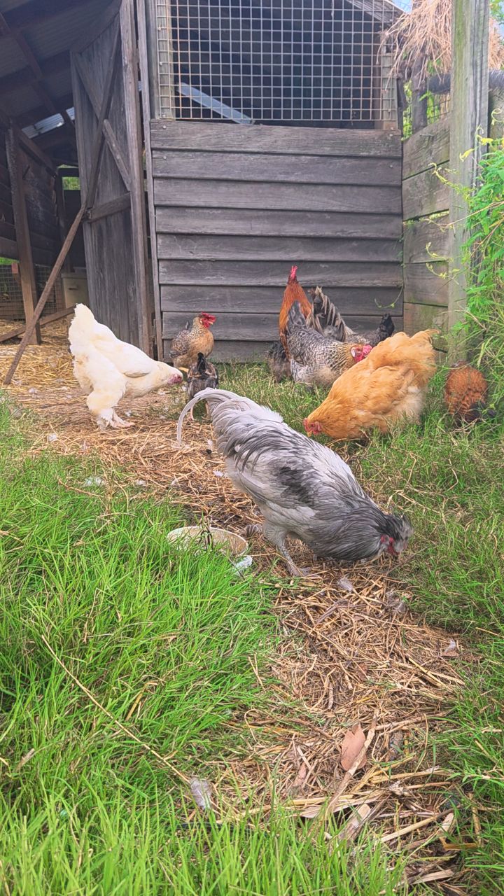 Peaceful Friday afternoon🙏