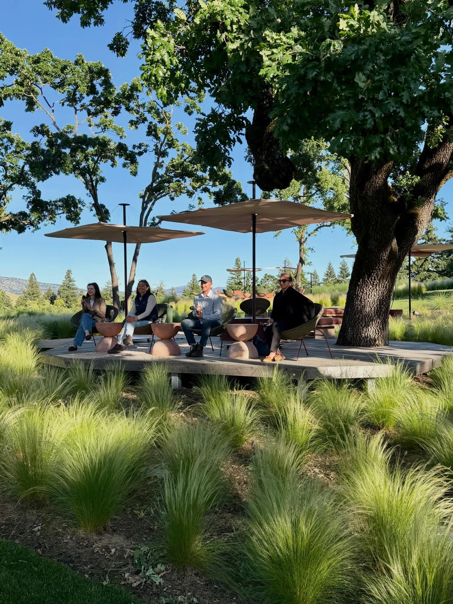 Cheers to Chandon for an engaging industry Earth Day panel offering insights on biodiversity and regenerative farming, plus a lovely happy hour to wrap it all up. 🥂🌿🌎
@chandonusa
#vinesofnapa #earthday #community #industryevent #napavinepass
