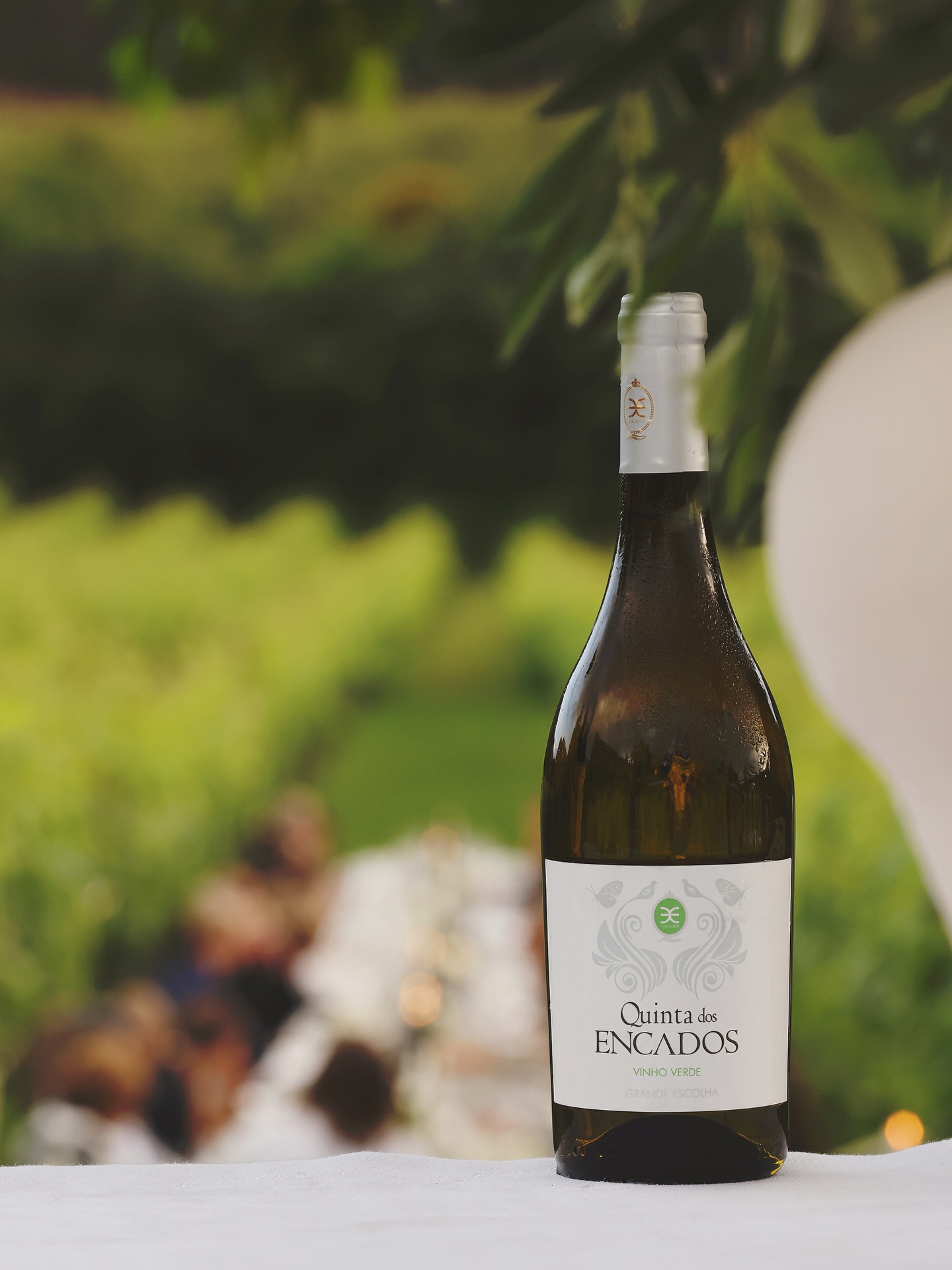 O nosso vinho tem sido escolhido para diferentes eventos por ser um vinho jovem, fresco, floral e com uma ligeira nota cítrica. Servido bem fresco, adapta-se na perfeição aos dias mais quentes e aos momentos de convívio ao ar livre.
Com a estação que se aproxima, pode ser uma escolha leve e equilibrada para brindar às festas e celebrações que estão por vir ✨
__
EN
Our wine has been chosen for different events for being a young, fresh and floral wine with a subtle citrus note. Served well chilled, it is perfectly suited to warmer days and moments of gathering outdoors.
With the season that is approaching, it can be a light and balanced choice to toast to the celebrations and festivities yet to come. ✨
#QuintaDosEncados #RegiaoDemarcadadosVinhosVerdes #Events #OutdoorEvents
