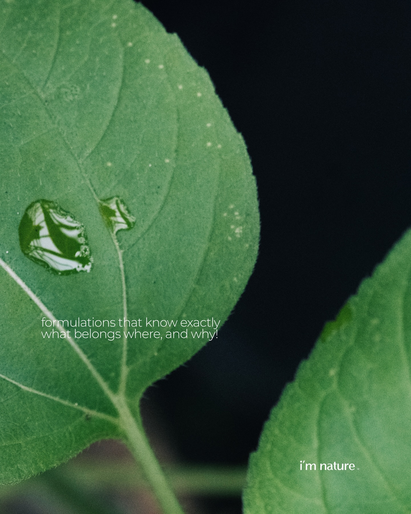 •bba formulas | science | nature•
not everything natural is effective, and not everything effective is complex
bba exists somewhere more precise, where every formula is built with a specific intention
each ingredient is selected the way you would approach research: questioned, studied, understood
not for how it sounds, but for how it functions on the skin; from barrier repair to lipid balance, from antioxidant protection to cellular support
this is where nature meets science
not as opposites, but as collaborators
🌱 botanical oils that mimic the skin’s own structure
🌱 plant actives that behave like well-studied compounds
🌱 formulas that don’t sit on the surface, but interact, adapt, and improve function over time
🌱 compositions that respect the biology of your skin and the intelligence of natural systems
formulations that know exactly what belongs where, and why!