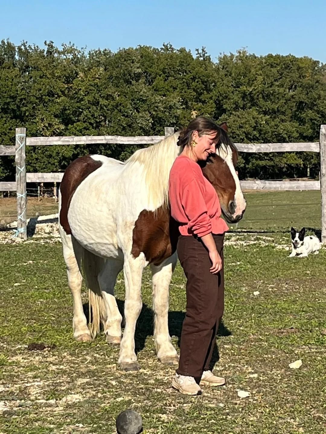 Pour mon anniversaire en septembre dernier, j'ai demandé à mon amie @patricia.lasserretorrijos de m'accompagner avec les chevaux à travers ce passage de vie.
J'avais besoin de témoins, de soutiens qui n'ont pas le mental à 1000 à l'heure des humains, ni leur besoin constant d'analyser et de décortiquer.
Retour à l'instinct.
Pas de triche possible, pas de baratin.
Pas d'amour à mendier.
Personne à convaincre.
À chaque fois que j'ai avancé vers eux pour obtenir une réponse, ils m'ont renvoyée à moi, mon corps, mes sensations.
Quand mon souffle s'est apaisé, quand j'ai accepté d'être surprise, quand ce n'était plus moi qui menais la danse, alors j'ai pu recevoir leur tendresse.
Mon ventre contre leur corps solide et puissant.
Un instant fugace, offert.
Alors oui, j'ai analysé et décortiqué ensuite, on ne se refait pas, ce que ça venait dire de mes relations, de mon fonctionnement...
Mais plusieurs mois plus tard, ce qu'il en reste, c'est la mémoire de la peau.
Une nouvelle ressource dans ma bibliothèque sensorielle, à laquelle revenir quand je perds pied ou que je me sens submergée.
Pour vivre cette expérience à ton tour, rejoins-nous le Dimanche 24 mai à Sarran (Gers).
Journée Breathwork & Chevaux,
co-animée avec @patricia.lasserretorrijos
✨Toutes les infos dans le lien en bio.