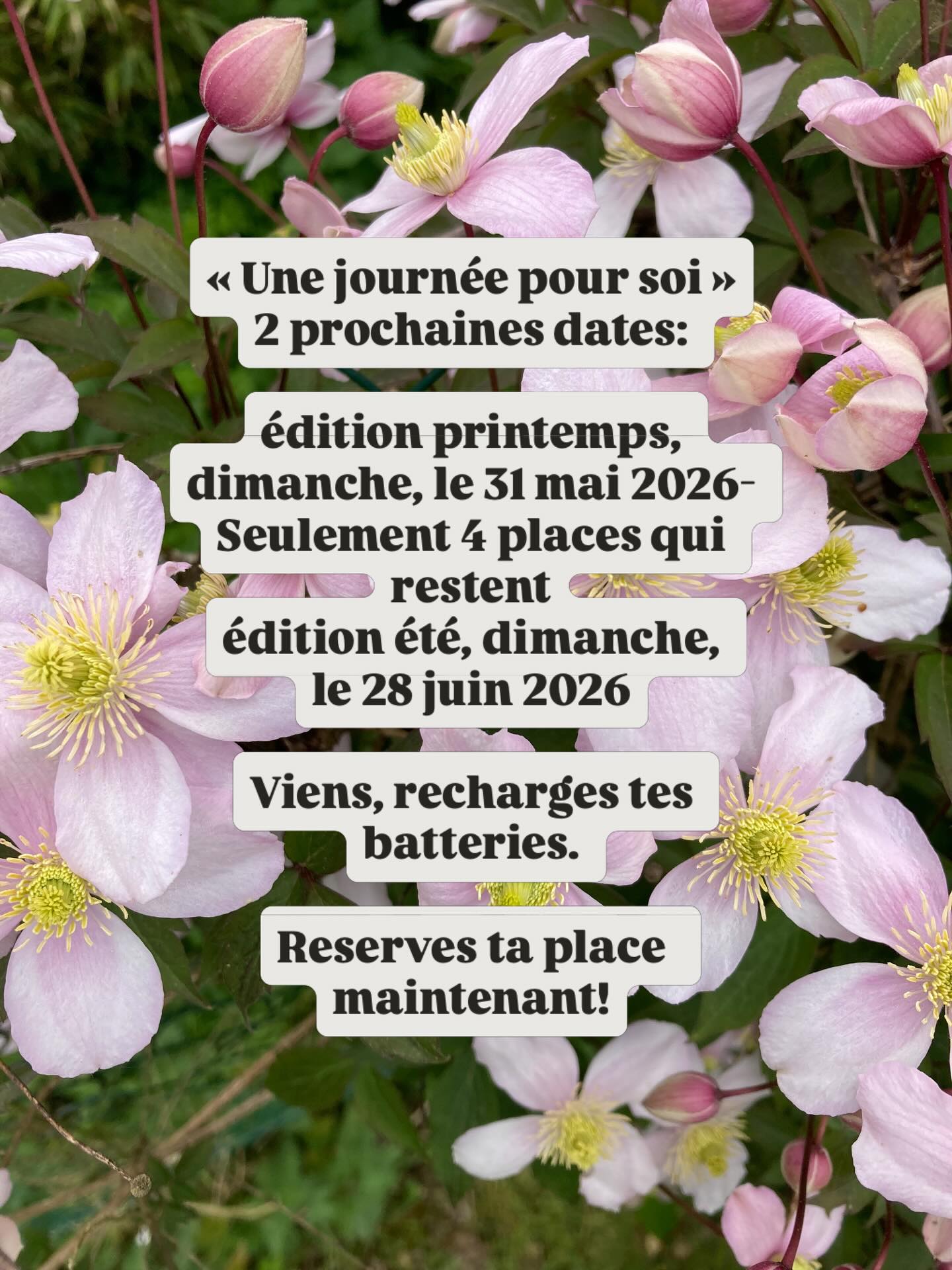 Tu rêves de ralentir mais tu ne sais pas exactement comment...Si tu te sens à court d’énergie, le corps fatigué, l’esprit submergé, le système nerveux saturé, et tu trouves difficile de te reposer. Nous avons exactement ce qu’il te faut.
Il te suffit d’investir une journée pour ton bien-être. Aucun prérequis n’est nécessaire, les séances sont accessibles à tous. Nous serons en petit comité pour prendre le temps de véritables échanges.
Tu repartiras nourri(e) avec des outils concrets et efficaces (postures de yoga, exercices simples de respiration, auto-massages et méditation (enregistrement audio pour chez toi) et livret des recettes.
Une invitation à prendre soin de soi, à te connecter avec bienveillance avec ton corps et à apaiser ton esprit.
Recharge tes batteries avec professeure de yoga Evi Sola, chef pâtissière Annabelle LeCointre et Sophrologue Julie Gesret à Plélan-le Petit, 10 mins de Dinan.
Atelier Yoga et Méditation
Atelier Cuisine- Préparation de entrée, plat principal, salade et dessert +goûter gourmande
Repas partagé
Atelier Sophrologie
Goûter gourmand
À quoi s’attendre : bienveillance, espace en sécurité, partage, humour, nourriture saine et délicieuse, calme, bien-être, détente, connexion avec soi-même et les autres
POUR QUI ?
À tous ceux qui souhaitent explorer le yoga au-delà de mouvement, respiration et relaxation, qu’ils soient débutants ou pratiquants confirmés.
A celles et ceux qui rêvent de ralentir mais qui ne savent pas toujours comment, de se reconnecter à eux-mêmes et de découvrir les bienfaits du yoga et la pleine conscience.
A tous ceux qui souhaitent améliorer leur quotidien : confiance, estime de soi, angoisses, anxiété, sommeil difficile, gestion du stress, des émotions.
A tous les gourmands, végétariens ou simplement curieux de nouvelles saveurs qui souhaitent mettre plus de couleurs et de sens dans leurs assiettes.
Réserves ta place !