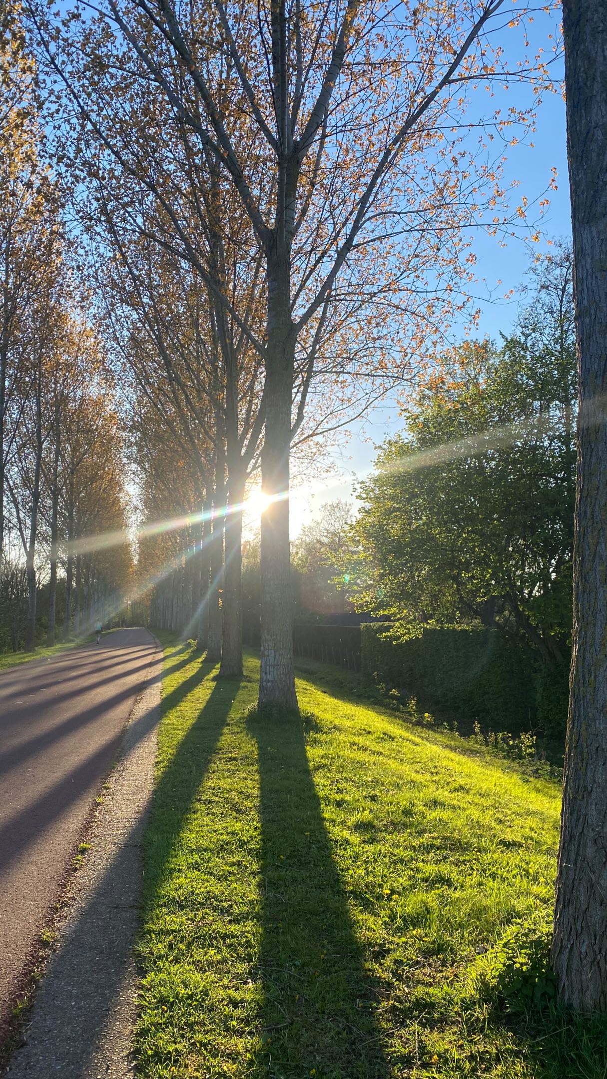 🎁 Commente « BILAN » si tu veux faire le point sur ton cycle et tes symptômes !
On t’a jamais appris à comprendre tes règles ni ton cycle..
Alors tu t’inquiètes… ou tu normalises :
Douleurs, spotting, règles abondantes, cycles irréguliers…
Tu penses que “c’est comme ça”.
Mais non!!
❌Ton cycle n’est pas un problème.
✨ C’est une BOUSSSOLE
Chaque symptôme est un message :
– règles douloureuses → souvent liées à une inflammation
– règles abondantes → possible déséquilibre œstrogénique
– spotting → progestérone insuffisante
– cycles longs → ovulation perturbée
D’ailleurs, laisse-moi deviner…
Tu as aussi :
– de l’acné
– des ballonnements
– un sommeil chaotique
– de la fatigue ++
👉 Ce n’est PAS une coïncidence
Ton système hormonal influence TOUT ton corps !
Et ton cycle est le reflet de cet équilibre (ou de ce déséquilibre) 🫶
👉 Tout est lié
Donc quand tu travailles sur ton cycle…
C’est aussi tous les autres symptômes que tu apaises.
Si tu veux enfin comprendre ce que ton corps exprime
(et comment rééquilibrer tout ça naturellement)
🎁 Je t’offre un bilan personnalisé
→ pour faire le lien entre ton cycle et tes symptômes
👉 Commente “BILAN” et je t’explique la suite en mp