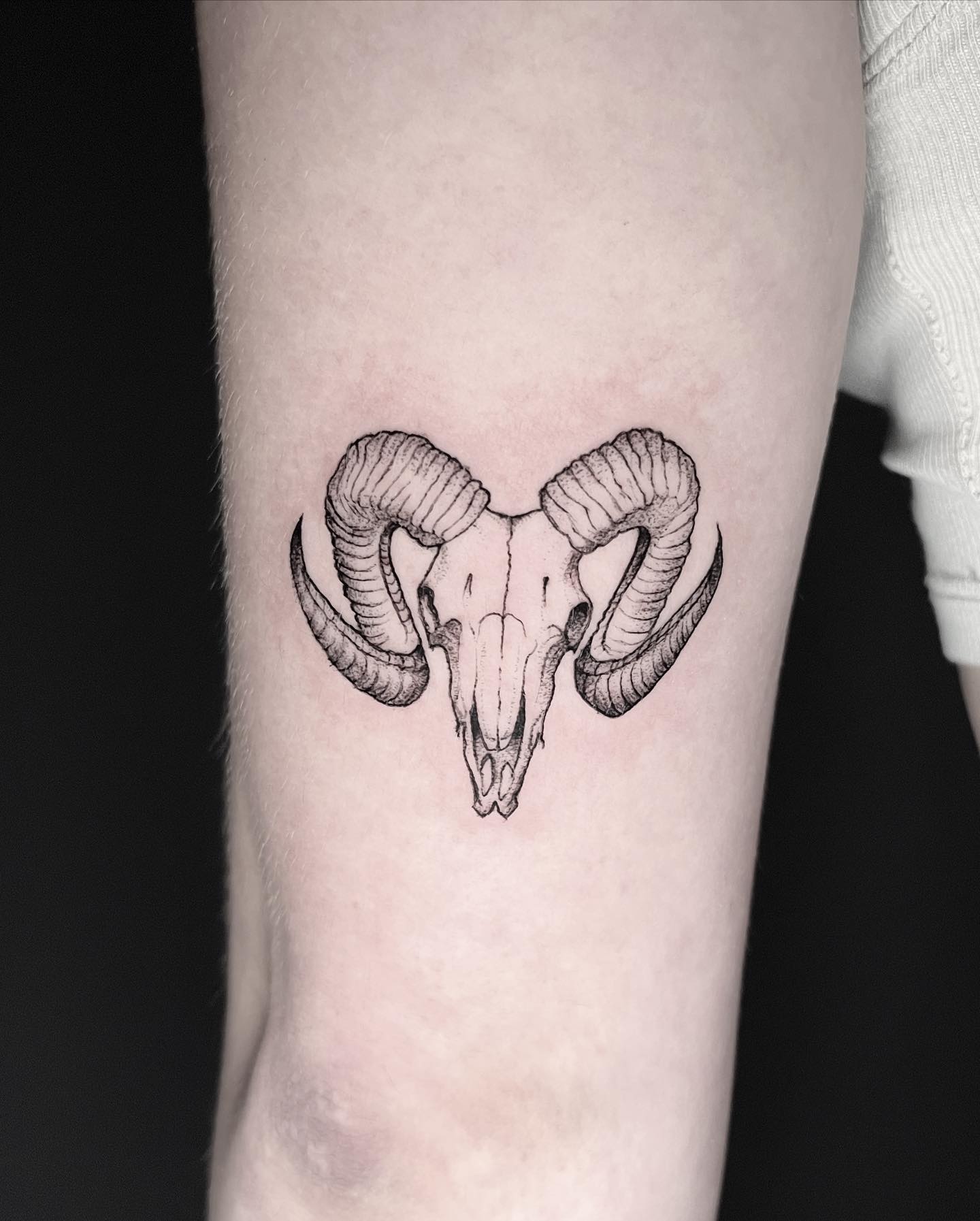 Fineline aries - fresh and healed🐏
#stippleshading #fineline #ariestattoo #viennaartist #viennaink #digitalillustration #viennaartists #procreate #tattooapprentice #austriatattoo #tattooaustria #blackworktattoo #tattoolove #viennatattoo #tattoovienna #tattooidea #wannadoo