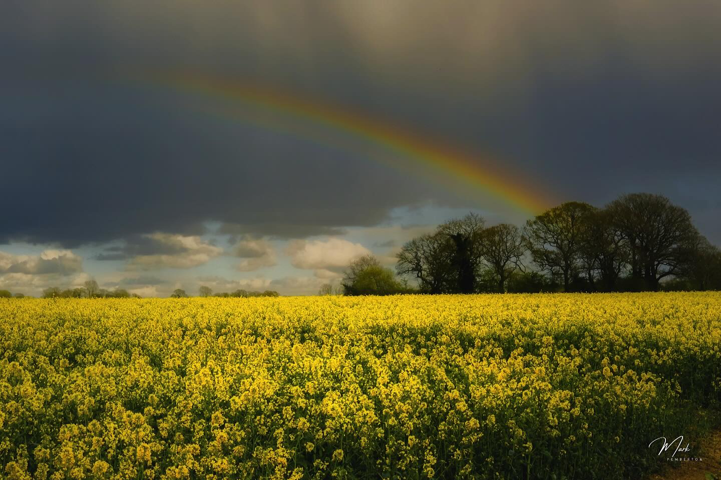 Saw our very first ever rainbow over a rapeseed field, very beautiful sight today #rainbowphotography #rainbowsofinstagram #bbc_midlands #bbcweatherwatchers