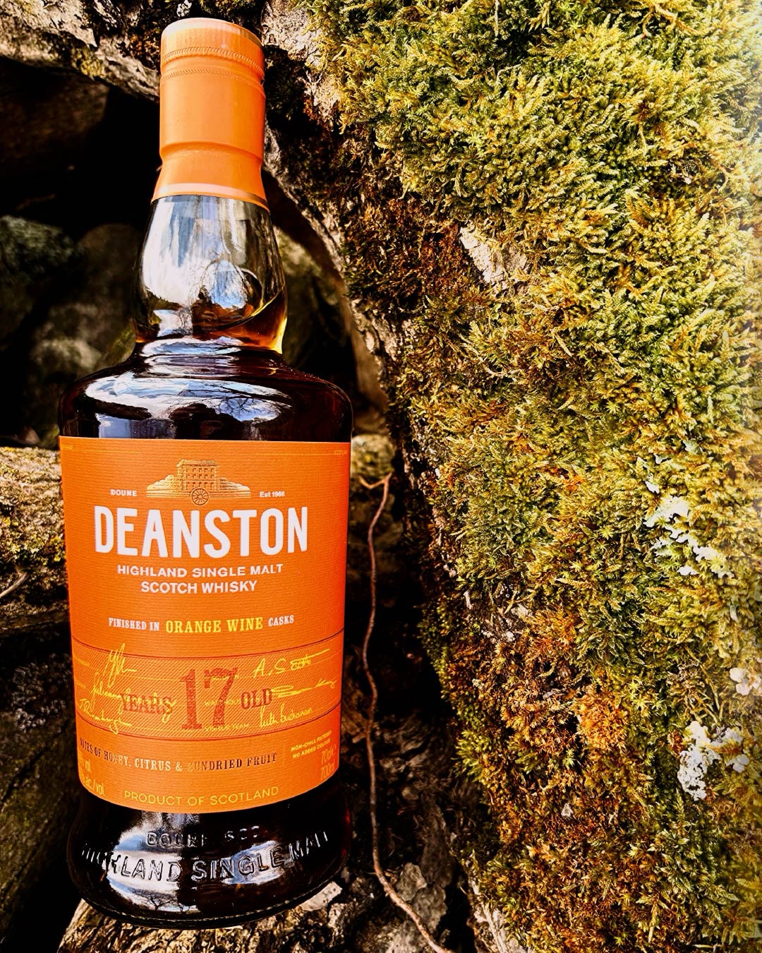 This Sunday’s dram: Deanston 17yo – Orange Wine Cask Finish at 53.6%.
What pulled me in is the cask story: “orange wine” here isn’t skin-contact orange wine. Deanston used Vino de Naranja casks (a fortified wine made with **bitter orange peel**) — a cask type you don’t see very often in whisky.
In the glass it leans exactly where the name points: ripe orange and mandarin. But the best part is that it doesn’t overwrite the distillery character. It still feels very Deanston: honeyed malt, calm weight, and that rounded, waxy texture.
Nose: ripe orange, mandarin, honeyed malt.
Palate: marmalade, waxy barley, soft spice.
Finish: citrus oils, gentle oak, warm sweetness.
ORANGE WINE CASK: intrigued?
Unpaid advertisement. Enjoy alcohol responsibly and only if you are of legal drinking age. Please drink in moderation.
—
Sonntagsdram: Deanston 17 Jahre – Orange Wine Cask Finish mit 53,6%
Spannend ist hier die Fassgeschichte: „Orange Wine“ ist in diesem Fall nicht der bekannte Skin-Contact-Orangewein. Deanston nutzt Fässer von Vino de Naranja (ein aufgespriteter Wein mit Bitterorangenschalen) — ein Fasstyp, den man bei Whisky eher selten sieht.
Im Glas geht er genau dahin, wo der Name hinzeigt: überreife Orange und Mandarine. Und das Beste: Er überdeckt dabei nicht den Destillerie-Charakter. Für mich bleibt er ganz klar Deanston: honigiges Malz, ruhiges Gewicht und diese runde, leicht wachsige Textur.
Nase: reife Orange, Mandarine, honigiges Malz.
Gaumen: Orangenmarmelade, wachsige Gerste, milde Würze.
Finish:Zitrusöle, sanfte Eiche, warme Süße.
ORANGE WINE CASK: macht dich das neugierig?
Unbezahlte Werbung. Alkohol nur ab gesetzlichem Mindestalter und in Maßen genießen.
#whisky #singlemalt #deanston #whiskygram #whiskytasting