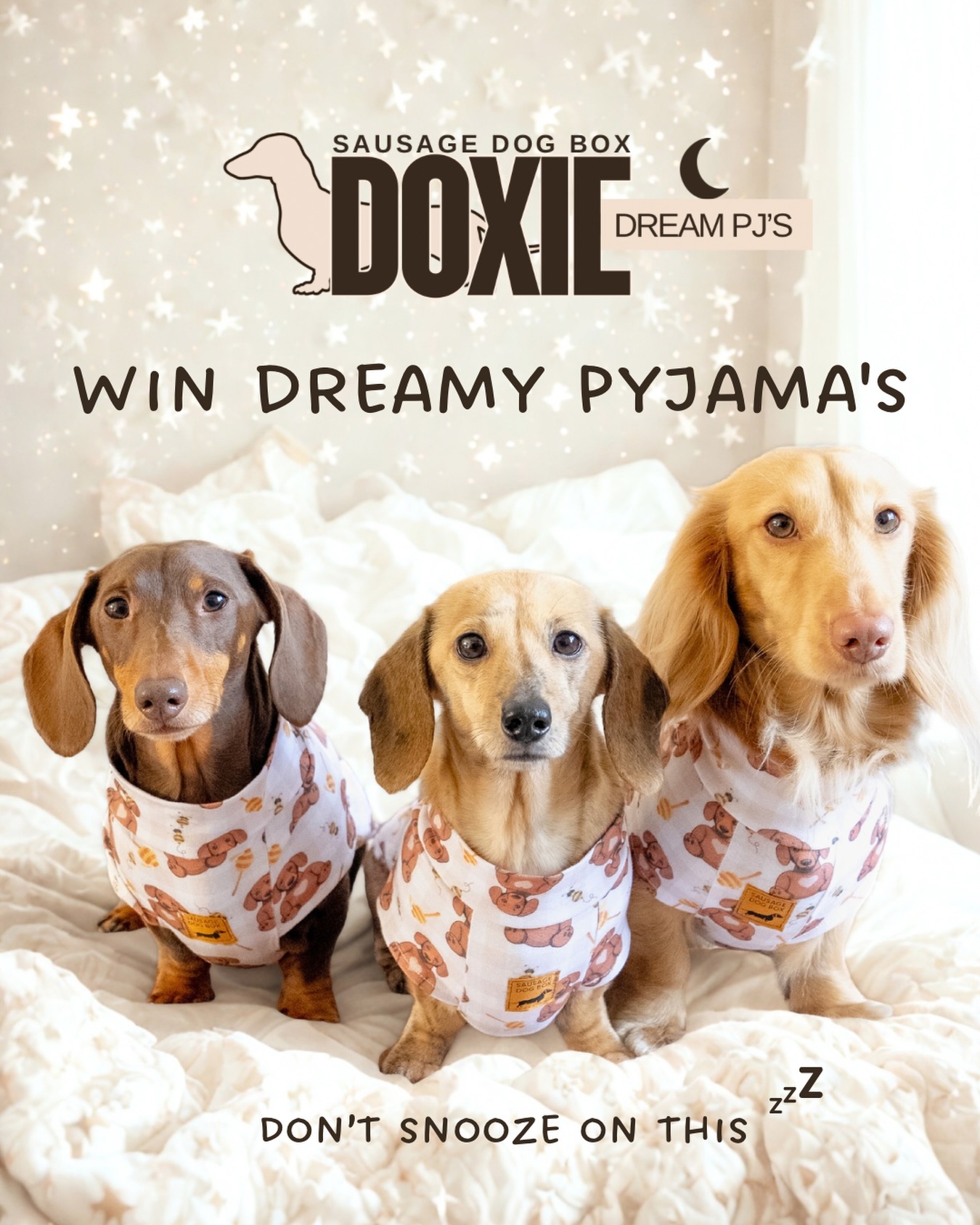 We’re giving one lucky sausage the chance to win our Doxie Dream PJs… 🌙
Soft, cosy and made especially for sausage dogs, perfect for snuggly nights and sweet dreams 💤
You know the drill…
✨ Like, save & share this post
✨ Tag your sosij besties (the more the merrier)
✨ Make sure you’re following us
Already snapped up a pair?
Still enter and if you win, we’ll refund your PJs in full ☺️
IMPORTANT (read this bit, sausages):
• Open internationally 🌍
• Closes 12.04.26 at 6pm
• Winner announced on our stories via @sausagedogbox (watch out for pesky scam accounts 👀)
• Not sponsored, endorsed or associated with Instagram
• Open on Facebook too, feel free to enter on both platforms!
Good luck, sausages! 🤎