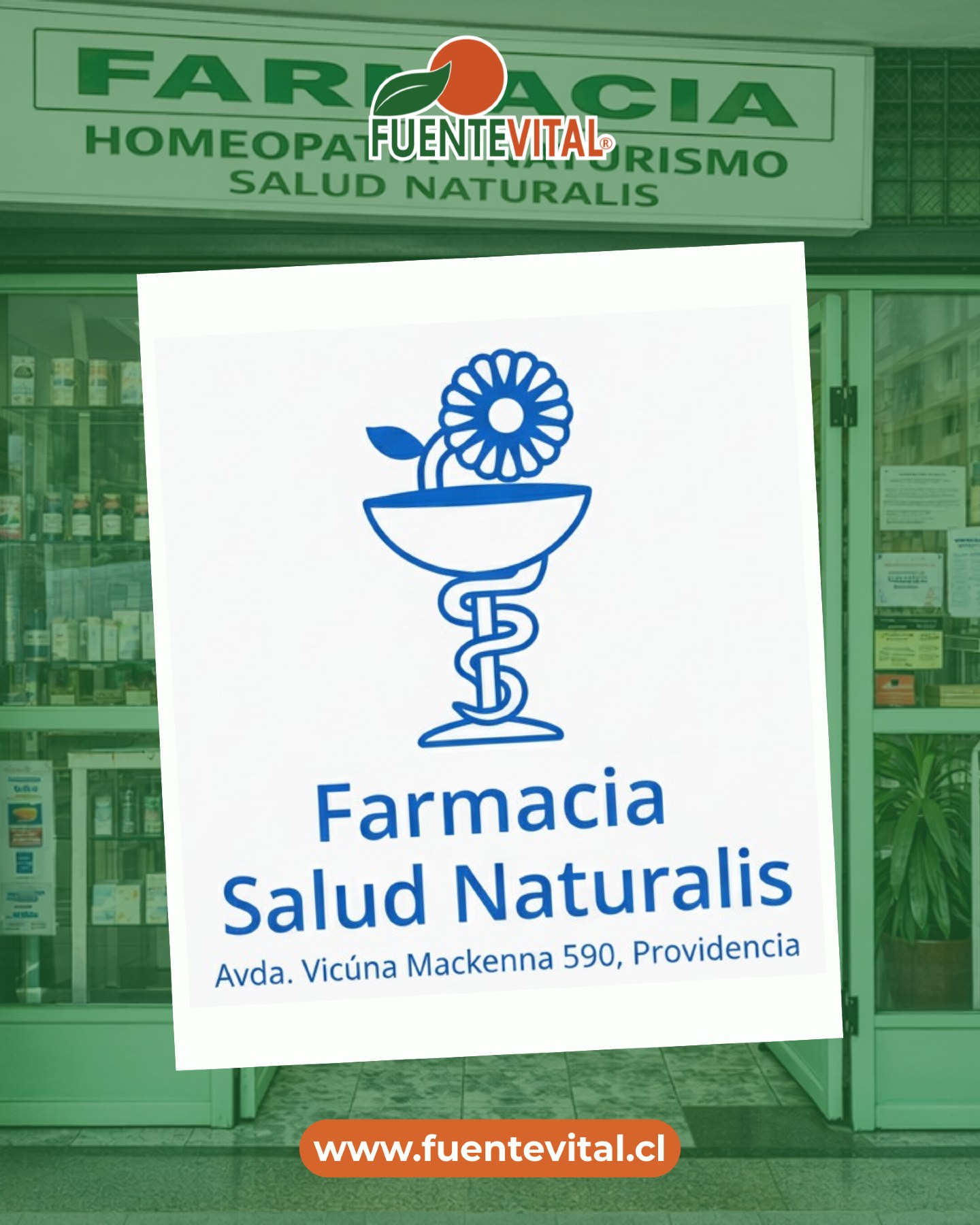 💊 🌿✨ “Tu bienestar ahora está más cerca… ¡en Santiago!” 🌱💚
En Santiago también se vive natural 🌿
Encuentra nuestros suplementos en la Farmacia Salud Naturalis y lleva a casa lo mejor de Fuente Vital Chile.
Bienestar, energía y nutrición… ahora disponibles para ti, en un punto accesible para todos en Providencia.
📍 Visítalos en: Avenida Vicuña Mackenna #590, Providencia, Santiago.
🛒 Pregunta por tu producto favorito y siente la diferencia.
🌿 Suplementos
🌿 Vitaminas
🌿 Superalimentos
💚 Acércate o para mayor información, recuerda que puedes ingresar a nuestro sitio web
https://www.productosfuentevital.com/
📲🛒
#ProducciónNatural #CápsulasVegetales #DistribuciónSaludable #FuenteVitalChile #SantiagoSaludable #Providencia #FuenteVitalEnSantiago #NutriciónConRaíces
