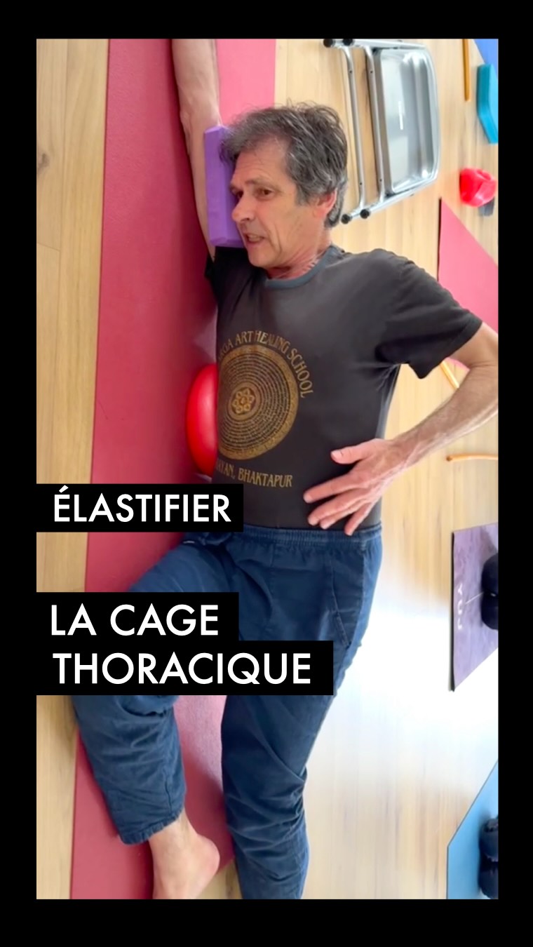 Élastifier la cage thoracique 🌬️🏛️
Extrait exclusif de notre Stage Immersif qui s’est achevé jeudi à Nantes. ✨
Dans ce laboratoire de recherche posturale, Serge explore ici un travail de précision avec un outil simple mais redoutable : un petit ballon peu gonflé. 🏐
Pourquoi ce placement spécifique ?
La 10ème côte est une zone d’attache majeure du diaphragme.
Sa mobilité est le garant d’une respiration libre et d’un Axe solide.
En utilisant le ballon comme tuteur sensoriel, on vient :
✅ Réveiller le mouvement des côtes basses.
✅ Créer de l’espace entre le bassin et le thorax.
✅ Libérer les tensions diaphragmatiques profondes.
C’est cette approche précise de l’anatomie et ce souci du détail qui transforment une simple pratique en une véritable thérapie posturale. ⚖️🔬
La transformation continue cet été... 🏖️
Vous avez été nombreux à nous suivre en story cette semaine. Si vous voulez passer de la théorie à l’expérience directe, rejoignez-nous pour nos prochaines immersions.
🏖️ Il reste quelques places pour nos stages de juillet et août !
👇 Notez « ÉTÉ » en commentaire pour recevoir toutes les informations sur nos prochains stages immersifs !
#Yogatherapie #StageImmersif #cathetsergeyoga #posturo #respiration