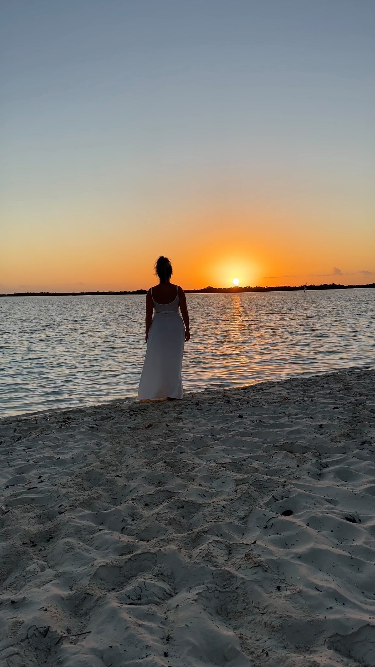Forever my happy place 🌅
Also hey, I’m Stephanie! I share about my tropical + underwater adventures, ocean conservation, and quiet moments in nature that bring you back to yourself.
If you’re into travel, nature, and a slower, more connected way of living…say hi 🌊🩵🧜🏼♀️🐚
•
•
•
•
#naturelover #girlswhotravel #travelblogger #oceanlover #mermaid