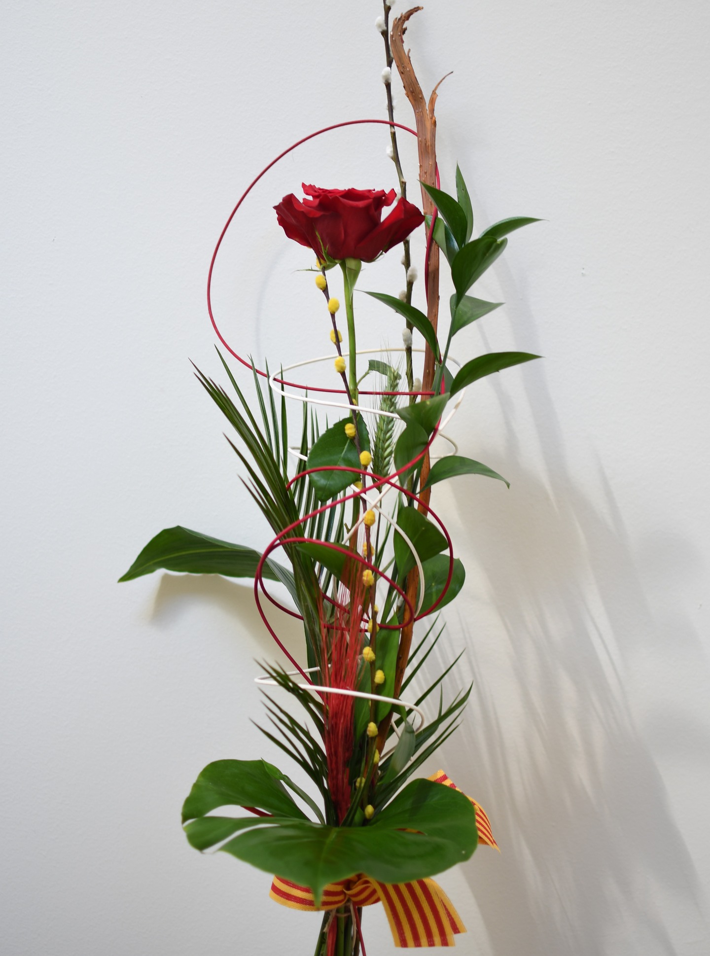 ROSA ESTRUCTURA
La rosa estructura és per als que busquen un pas més: una peça elaborada, amb un disseny artesanal.
Composició del producte:
• Rosa vermella premium (Freedom / Red Naomi / Explorer – 90 cm)
• Estructura de mèdula en forma de tirabuixó
• Tronc de cornus
• Gatell (cotó) natural i tintat
• Espigues vermelles i naturals
• Fulles: ruscus, robellini, aspidistra i filodendrum
• Cinta de la senyera catalana
Reserva-la ja online.