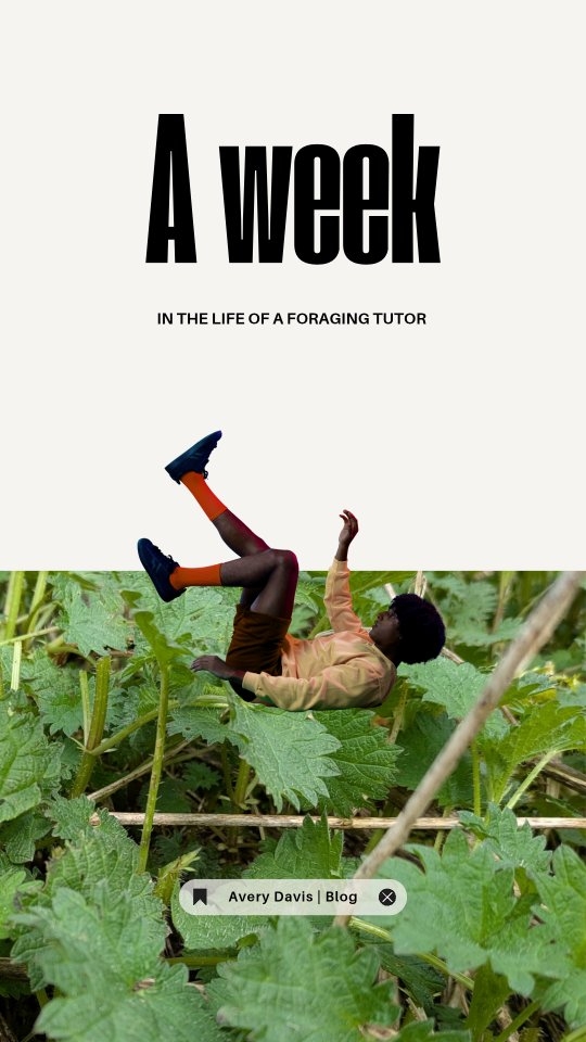 Oh what a week! Does anyone else find that all their work seems to bunch together to create a week of utter madness?! It's not always like this! Times are hard just now so I'm SO grateful to everyone that is helping me keep my business alive. You beauties!
Shout out to:
👉🏽 @hfholidays.co.uk for the use of their beautiful grounds 🙌🏽👣
👉🏽 The Ardchattan Centre for my foraging residency 🥰
👉🏽 @jane.gray.nettle.weaver for selling me the most beautiful nettle scarf and sharing in the pure joy and appreciation of NETTLES 🌿
👉🏽 My private clients for supporting me 😎
👉🏽 @wellnesswithin.love for sharing her gorgeous workshop space 🙏🏽
👉🏽 @seasidemoocher for sending the most beautiful seaweed pressing and a set of her dinky printed cards 😍
👉🏽 Everyone that attends my classes and lets me nerd out about plants, fungi and algae 🌱💙🪸
👉🏽 @maryannkennedyalba and Nick for another round of @rurachd 🥰🌱
👉🏽 My gorgeous friend Chloe and my family for helping me with Mara 😚 #workingmum