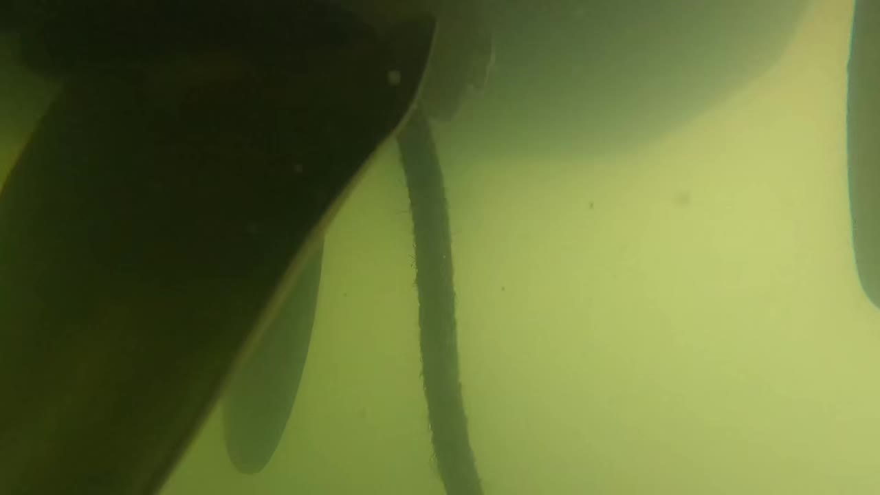 Cutting a tangled rope off a prop today.
.
.
#recoverydiving #lakestclair #greatlakesstate #detroitriver #stclairshores clintonriver harrisontownship boattown algonac stclair metrobeach michiganboating puremichigan michiganmarinas metaldetector safeharbormarinas boatmichigan lambrecht