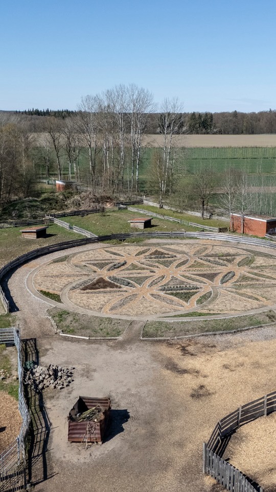 Das wird! Ackern und pflanzen in der Blume des Lebens, mit @lena_hofandenteichen, @caro.thk, @nele_well, @snobby.05
.
#föj #hofandenteichen #rettmer #blumedeslebens #blumenpflanzen