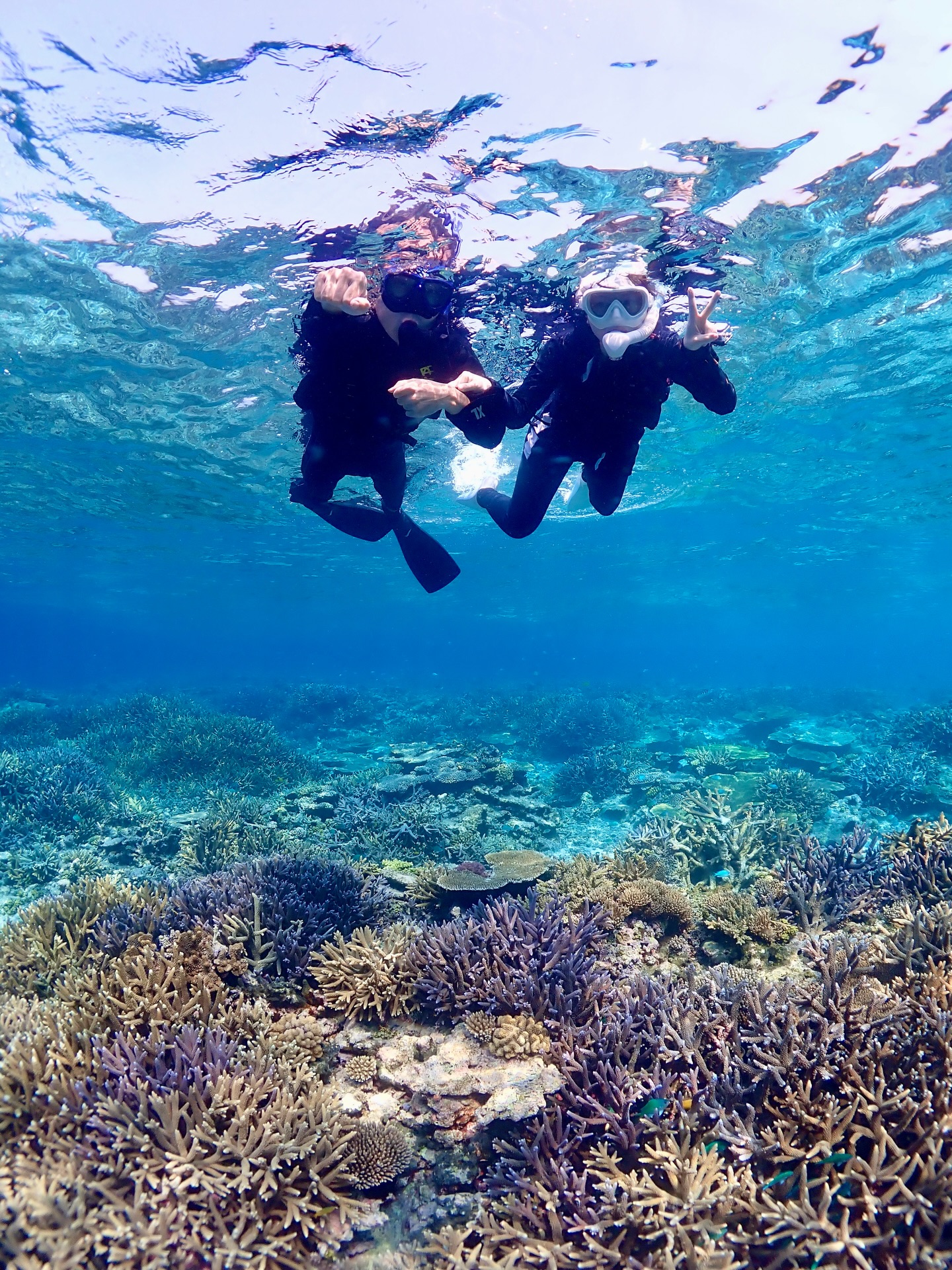 気温も水温も上がって
晴れたらウエットスーツなしでも大丈夫になりました🌞
日焼け対策にラッシュガード推奨です!
《 世界に誇る日本一の海“ヤビジ”で
一生の思い出に残る体験を🌏🩵》
▼マーリンのオススメポイント
⑴ 安全第一でご案内🛟
厳しい安全基準をクリアした業者だけが認定される
“マル優”に指定されています
ガイドは定期的に安全講習実施中。
⑵ ヤビジまで一番近い港出発⛴️
半日ツアーで旅行のスケジュールが組みやすく
船酔いが心配な方にもオススメです!
⑷初心者・女性にも優しい🥰
女性スタッフも在籍、
各資格を持ったガイドがご案内!
⑸当日のベストポイントへご案内🐢
海を知り尽くした宮古島育ちの船長が
数あるシュノーケルポイントから
その日のベストコンディションへ向かいます!
▼ツアーメニュー
・八重干瀬シュノーケルツアー
・八重干瀬スキンダイビングツアー
・八重干瀬体験ダイビングツアー
・スキンダイバー講習
→ 各ツアーに𝗘𝗖𝗢プラン(割引)あり
▼𝗘𝗖𝗢プラン 〜環境に優しくお得に遊ぼう🧡〜
各ツアーメニューに適応可能
𝟭.ツアー料金¥𝟭,𝟱𝟬𝟬引き
𝟮. 𝗘𝗖𝗢ルールを守っていただける方
※𝗘𝗖𝗢ルールはHPにてご確認ください
▼ ご予約方法
InstagramトップページのリンクからHPへ
※DMは対応しておりません。
▼船長アカウント
こちらでもツアーの様子をリアルタイムで発信中!
🚢:@marlin_nakasato
▼スタッフアカウント
スタッフ目線のツアーの様子やオフを発信中!
👫🏽:@staff_marlin_miyakojima
#ヤビジツアーマーリン
#宮古島 #八重干瀬 #ヤビジ
#宮古島旅行 スキンダイビング
沖縄 宮古島八重干瀬 ヤビジ
ヤビジツアー 宮古島シュノーケル
miyako okinawa Japan
