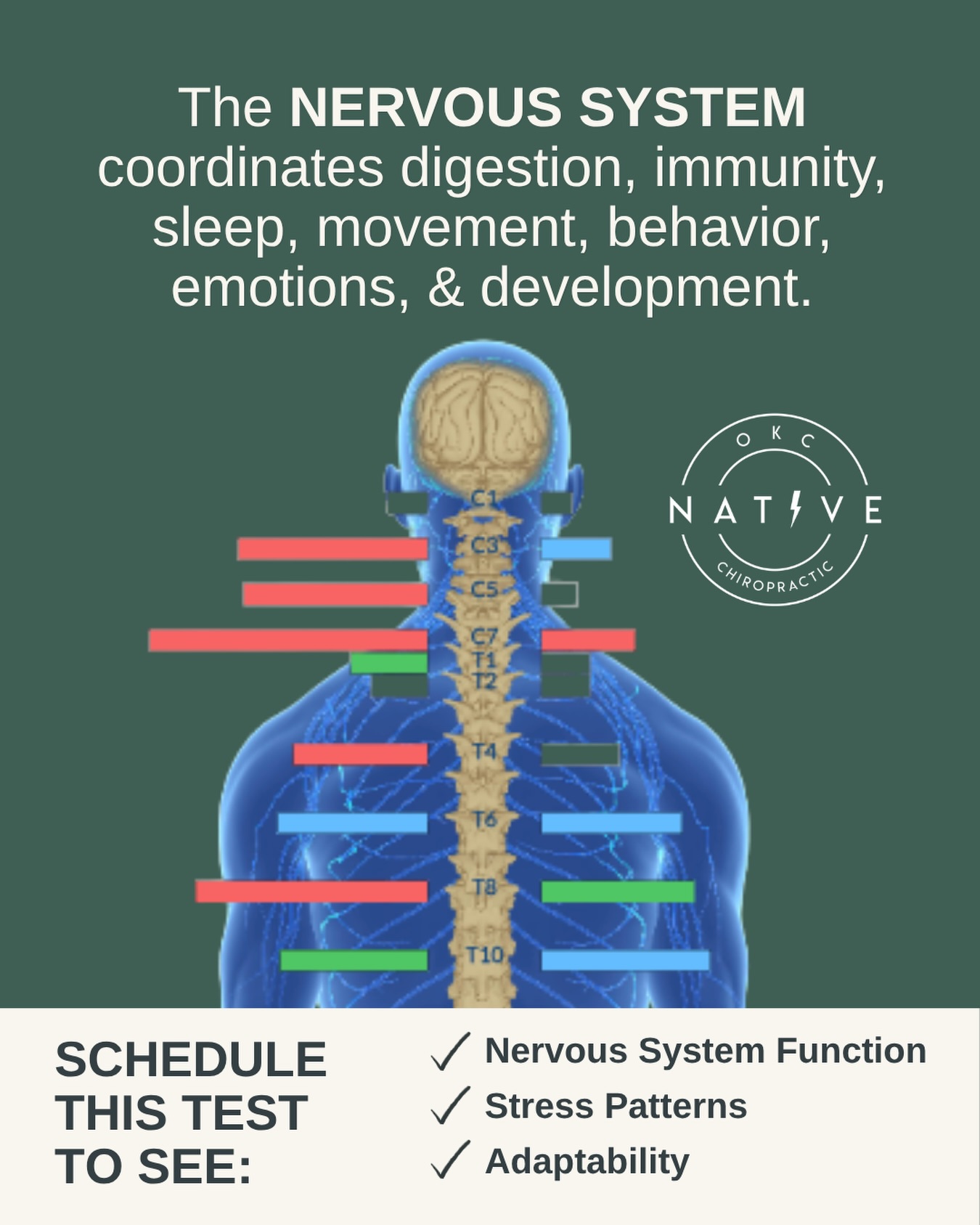 You know that feeling when you’re told, “Everything looks normal,” but deep down you know something still isn’t right with your child? 😭
Maybe it’s restless sleep or digestion that’s always off. Big emotions, constant stress, or a body that just can’t seem to relax.
Most pediatrician visits focus on growth charts and milestones. Important, yes.
But they don’t actually measure the system that runs everything: your child’s nervous system.
Think of it like air traffic control for their body. When it’s overwhelmed or stuck in stress mode, things like digestion, immunity, behavior, and development can all struggle, even when tests look “fine.”
That’s where INSiGHT scans come in. 📊 They don’t look for disease. They gently show us how your child’s nervous system is functioning, where stress is stuck, and why progress can feel so slow despite doing all the right things.
If you want more information on these life-changing scans and how they can help your child, comment ‘SCAN’ or click the link in our bio to read more! 🔗
pxdocs / pediatric chiropractic / tongue tie/ baby sleep / chiropractic for kids / ear infections / colic / tantrums / ADD / ADHD / constipation / ODD / OCD / SPD / ASD / nervous system / nervous system regulation / #okc #oklahomacity #okcmoms #yukonok #edmondok