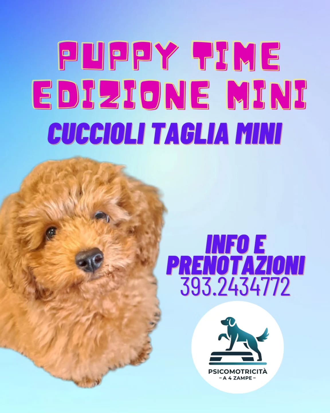 ✨ PUPPY TIME – EDIZIONE MINI ✨
Cuccioli 3–6 mesi | taglia piccola
Non è la solita puppy class.
È un momento guidato per dare al tuo cane
le basi giuste fin da subito 🐾
💡 Lavoreremo su:
• socializzazione corretta
• sviluppo emotivo e gestione delle prime esperienze
• comunicazione e relazione con te
🎯 Gruppo MINI, ambiente protetto
👥 Massimo 5 cuccioli
📍 Posti limitatissimi
📲 Per prenotare il tuo posto 393 243 4772
#psicomotricitaa4zampe #educazionecinofila #cuccioli #canirimini