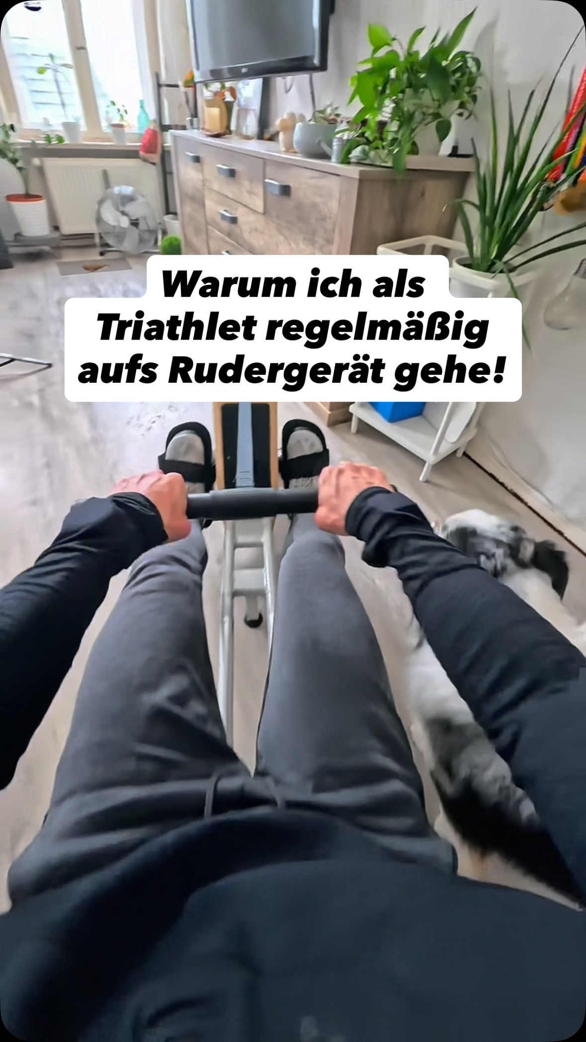 Warum ich als Triathlet regelmäßig aufs Rudergerät gehe 👀
Die meisten unterschätzen das Rudergerät im Triathlon komplett. Dabei ist es genau das, was vielen fehlt:
👉 Ausgleich zur Aero-Haltung auf dem Bike
👉 Mehr Zugkraft & Körperspannung fürs Schwimmen
👉 Cardio, ohne die Beine zusätzlich zu belasten
Gerade wenn du viel trainierst und deine Beine oft müde sind: 👉 Das kann dein Gamechanger sein.
So kannst du starten:
– 20–30 min locker (Recovery)
– oder 5×5 min moderat mit 2 min Pause
Rudern ersetzt nichts – aber es ergänzt alles.
👉 Nutzt du das Rudergerät schon in deinem Training?
#triathlontraining #citysports #ironmantraining #citysportsyuna #hybridtraining