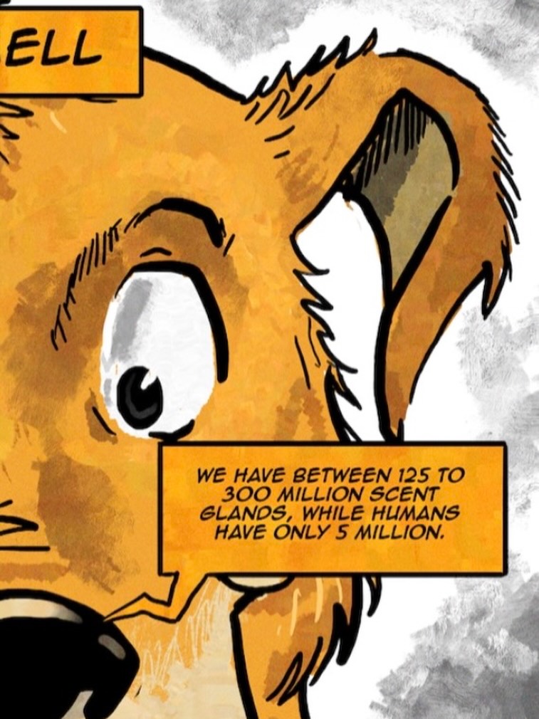 Your dog has up to 300 MILLION scent receptors 😳
Humans only have about 5 million… yeah, not even close 😂
That’s why sniffing isn’t random it’s how they understand the world.
🧩 2 / 4
don’t miss the full image on my profile!
👉 Save this if you’re a new dog parent