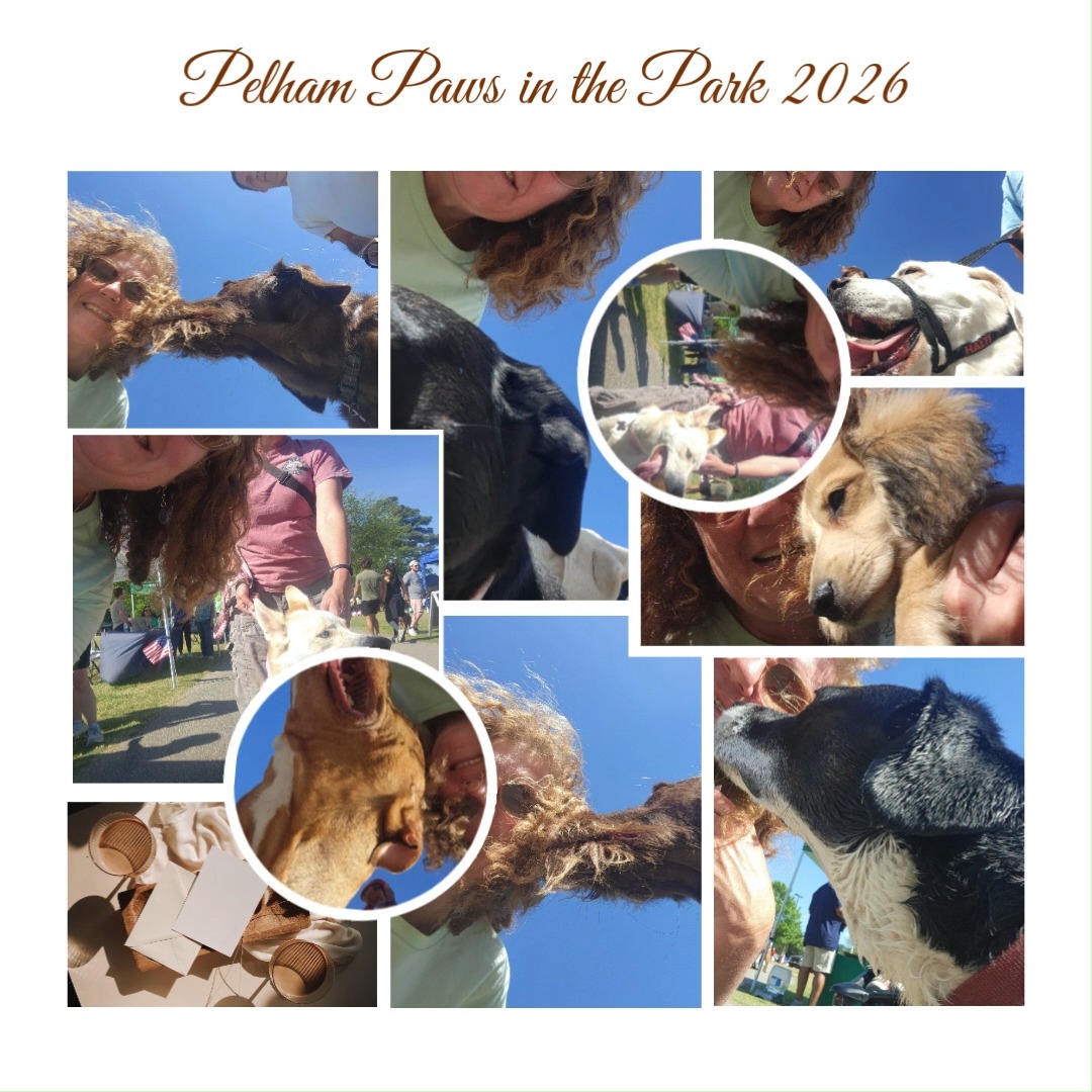 Pelham Paws in the Park was an amazing success! 🐾
With more vendors and a thoughtfully spaced-out layout, everything flowed smoothly—no bottlenecks, just a great experience for everyone who came out. It was a beautiful day filled with even more beautiful dogs… and I might have made a few new friends along the way!
Thank you from the Alabama Pet Pantry for all the incredible support—we truly appreciate this wonderful community. 💛
🌐 Learn more or get involved: www.alabamapetpantry.com
#PelhamPawsInThePark #AlabamaPetPantry #PetLovers #DogDays #CommunityEvent #AdoptDontShop #HappyTails #PetFriendly #SupportLocal #FurryFriends #DogLife #AnimalLovers #PetCommunity