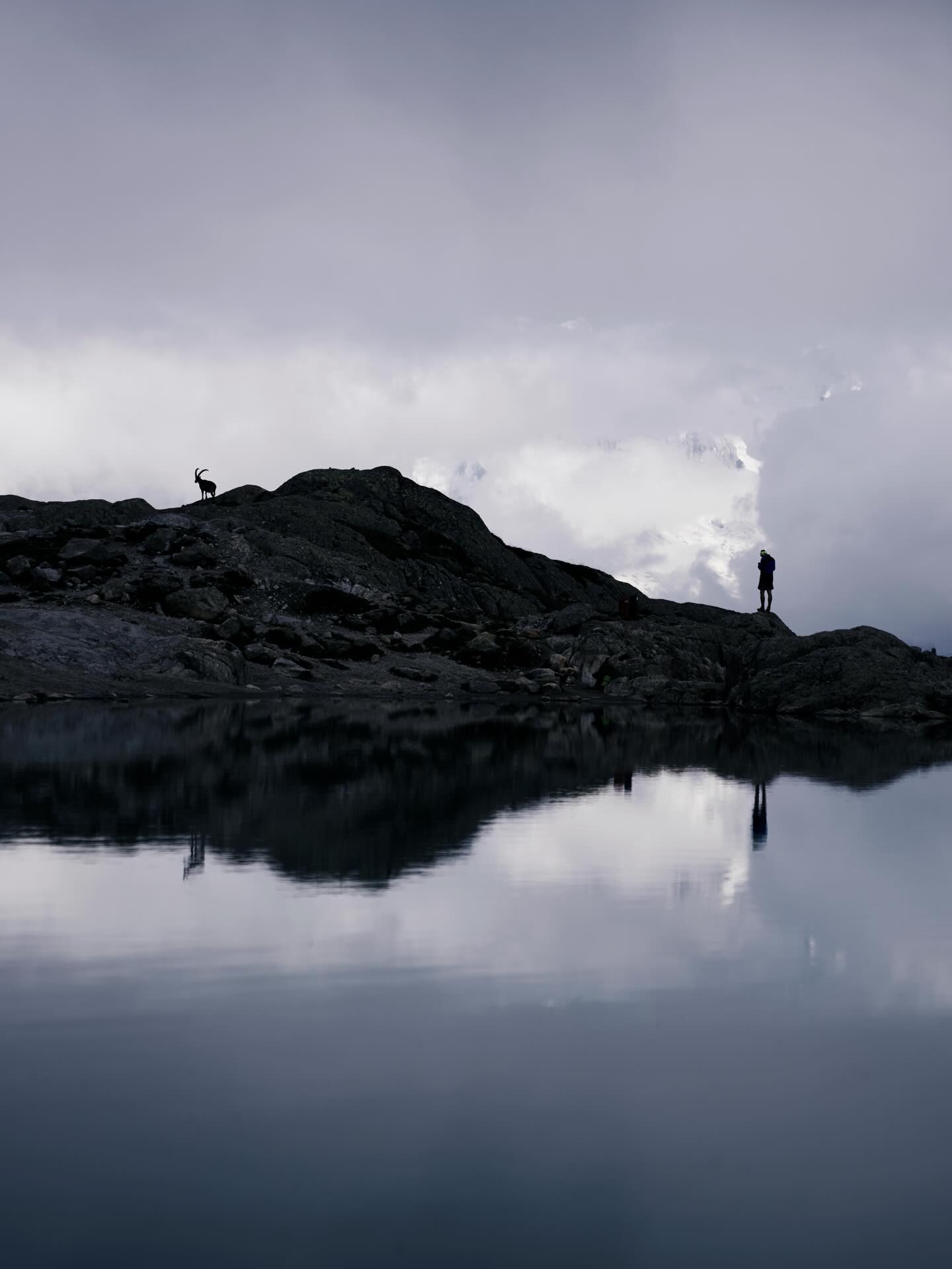 写真は学ぶものではない――。そう聞くと、多くの人は意外な顔をするかもしれません。書店にはカメラの技術書が並び、インターネットを辿れば美しく撮るための「正解」が溢れている今の時代に、学ぶ必要がないとはどういうことなのだろうと不思議に思うのも無理はありません。
例えば、新しい一日の始まりに鏡を見る瞬間のことを思い出してみてください。そこに映っているのは、見慣れた自分自身の顔です。よほどのナルシストでもない限り、私たちはそこに何らかの不甲斐なさを感じたり、一つや二つのコンプレックスを見つけては溜息をついたりしてしまうものです。毛穴の汚れや細かいしわ、あるいは左右のバランス。自分にとっては切実な問題として鏡の中に現れるそれらの造形は、他人にとっては驚くほど「どうでもいい」ことである場合がほとんどです。一方で、あなたを深く愛している恋人や友人がその顔を見れば、彼らはあなた自身すら気づかなかったチャームポイントをいくつも教えてくれるでしょう。「笑ったときに出るその皺が好きなんだ」とか、「光が当たったときの瞳の色が綺麗だね」といった言葉。それらは嘘ではなく、彼らにとっての事実です。同じ一つの顔という現実であっても、見る人の心や関係性によって、映り込む世界は全く違うものへと姿を変えます。
世界をどのように見るかという方法は、本来、誰かから教わるものではありません。私たちは幼い頃から、家庭や学校といった教育の枠組みの中で、多くのことを学んで成長します。社会という仕組みの中で生きていくためのルールや知識は確かに教わるべき大切な財産です。けれど、教育とは全く別の次元で、個々の人間が無意識に拾い上げている知見というものがあります。小さな小鳥が羽ばたく際の、その羽根の重なりや、周囲に微かに起きる風のゆらぎ。その一瞬の機微に心を奪われ、言葉にならない感動を覚える人もいれば、それをただの「鳥の移動」としてしか捉えず、何も感じない人もいます。どちらが良い悪いということではなく、そこには厳然とした「個の眼差し」の差異が存在しているだけなのです。そうした小さな反応が幾度となく繰り返されることで、やがてその人の特有の世界の見え方が形作られていきます。
写真は学ぶものではないと言う理由がここにあります。外部にある知識を取り入れる作業ではなく、自らの内側にすでに存在している世界の見え方に気づき、それをカメラという道具で写真として定着させる行為に他ならないからです。カメラの操作やレンズの特性、露出の仕組みといった技術的な事柄は、いわば自分自身の眼差しを具現化するための「道具の使い方」に過ぎません。その道具に慣れてくれば、呼吸をするのと同じように、おのずと写真は撮れるようになります。筆の持ち方を覚えた後に、何を描くかがその人の魂に委ねられているのと全く同じなのです。逆に、自らの心の動きに立ち返ることができない者は、どれほど高価な機材を使い、最新のテクニックを駆使したとしても、誰かが決めた美をなぞり続けることしかできません。写真は、技術を競うスポーツではなく、自分という存在を通して世界を再定義する孤独で幸福な試みなのです。
世界をどう見ているのか。その自由だけは何があっても手放さないことです。自由を感じながら、カメラという無口な相棒とともに世界を歩き続けるとき、写真は学ぶものではなく、あなた自身を深く知り、世界を愛するための「楽しみ」そのものになっていくはずです。