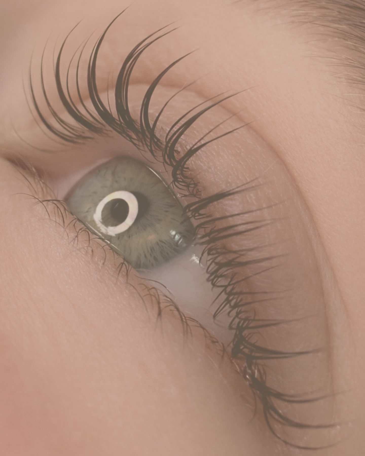 𝐋𝐚𝐬𝐡𝐥𝐢𝐟𝐭𝐢𝐧𝐠
Book online
#natürlich