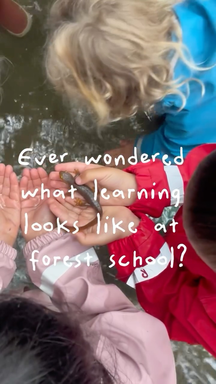 Ideas take shape through natural materials, open-ended art, and the freedom to create. Through conversation and shared play, children practice communication, flexibility, and social problem-solving. Curiosity leads them closer! Inviting them to observe, question, and discover together.
Learning here is creative, collaborative, and rooted in the child’s curiosity!
We’re welcoming families to enroll for the next school year! Come experience our forest school by booking a tour through the website (link in bio). We can’t wait to meet you! 🌿✨