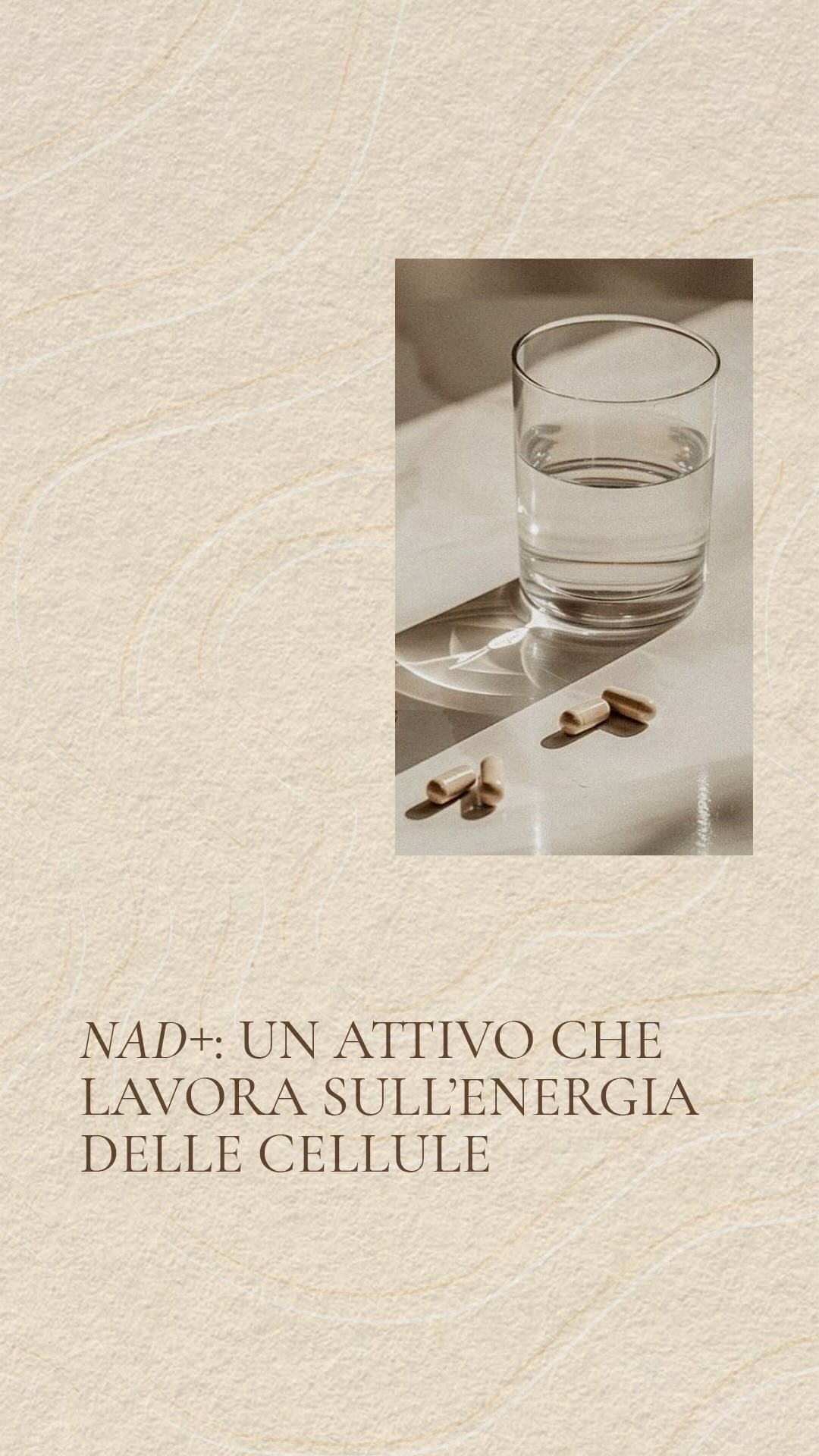 Sapevi che con il tempo i livelli di NAD+ diminuiscono?
Questa molecola è essenziale per energia e rigenerazione cellulare. Supportarla significa prendersi cura del proprio benessere in modo consapevole.